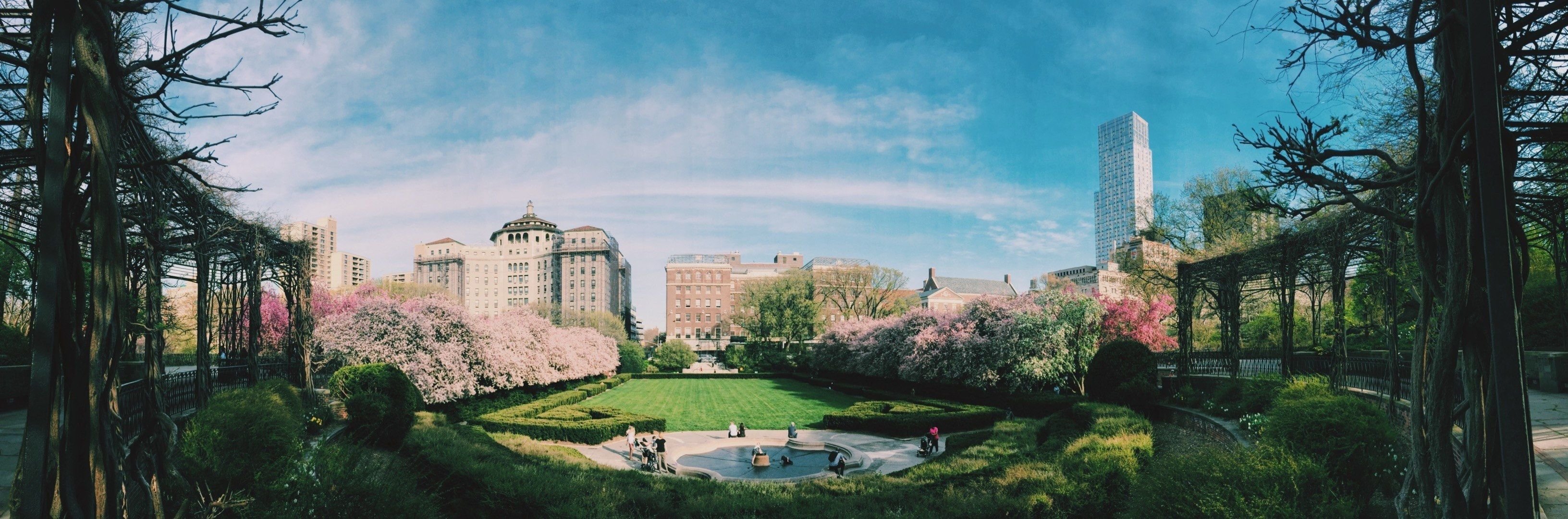 panorama of the conservatory garden with pink bushes in central