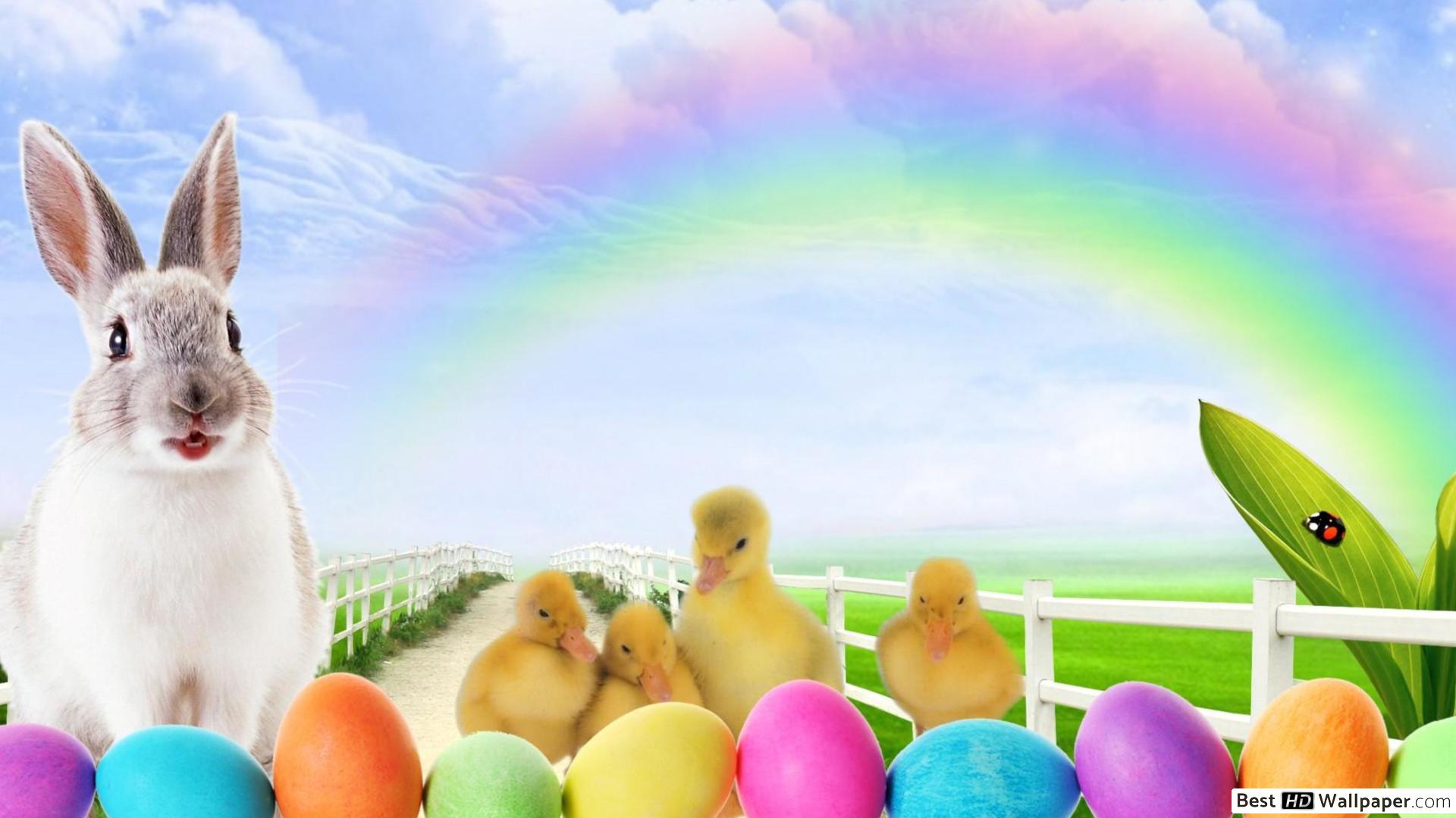 Easter Bunny & Chick HD wallpaper download