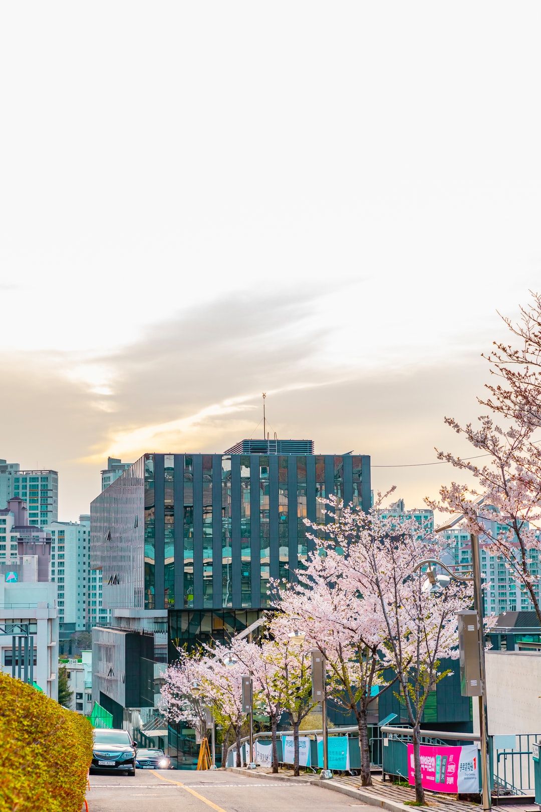 Seoul, South Korea Picture. Download Free Image