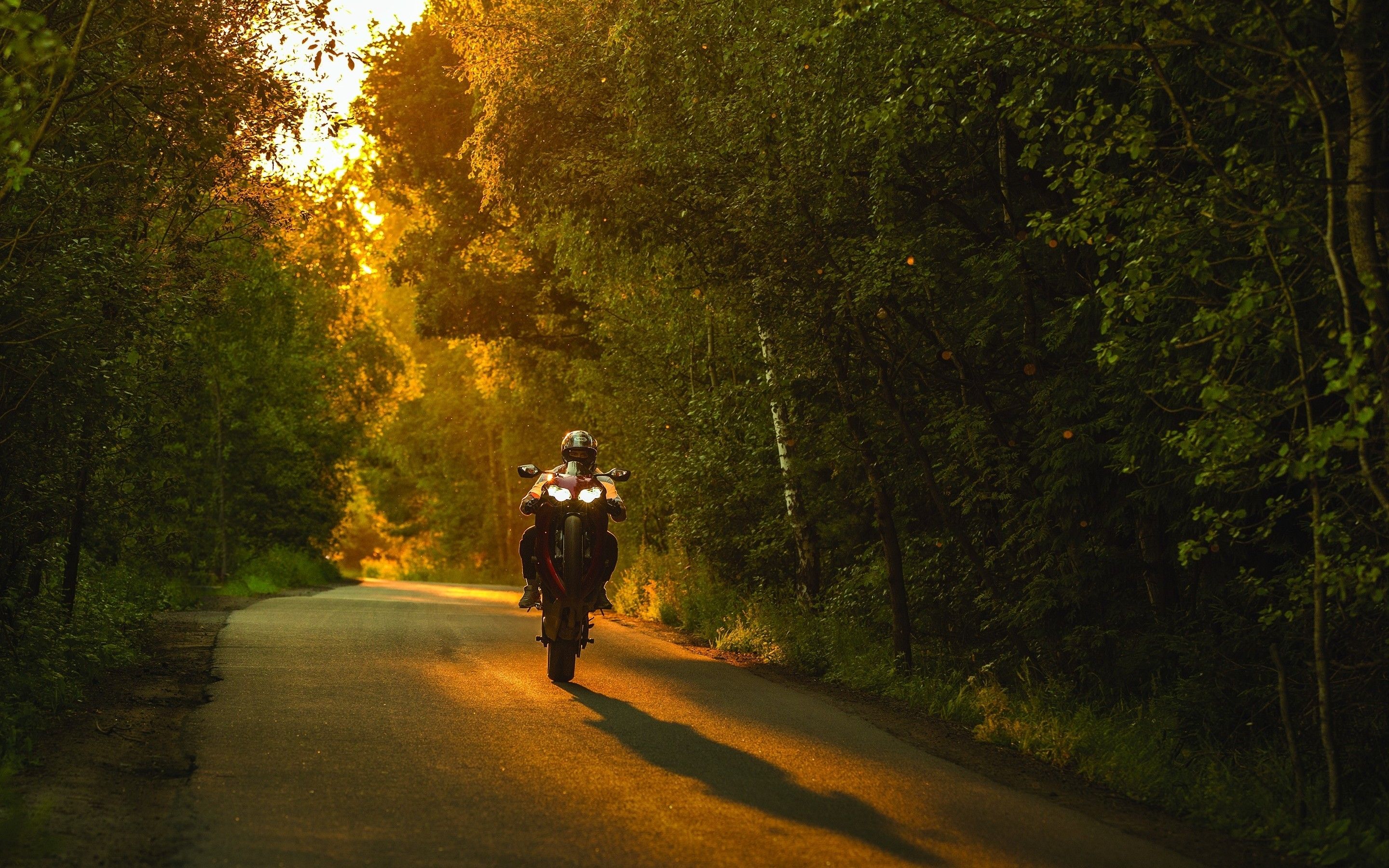 Download 2880x1800 Honda Cbr 1000, Sunlight, Forest, Shadow