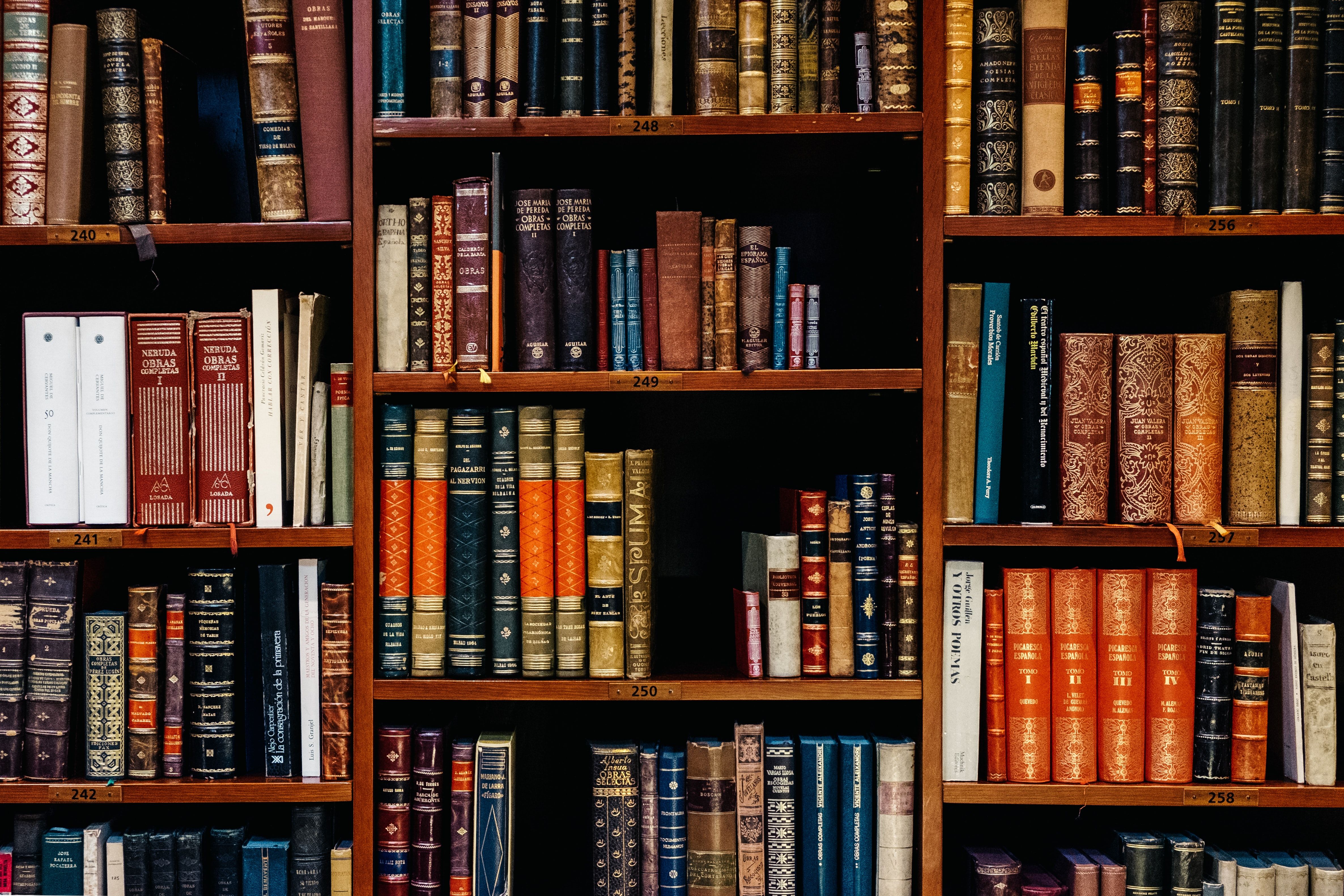 Bookshelf Picture [HD]. Download Free Image