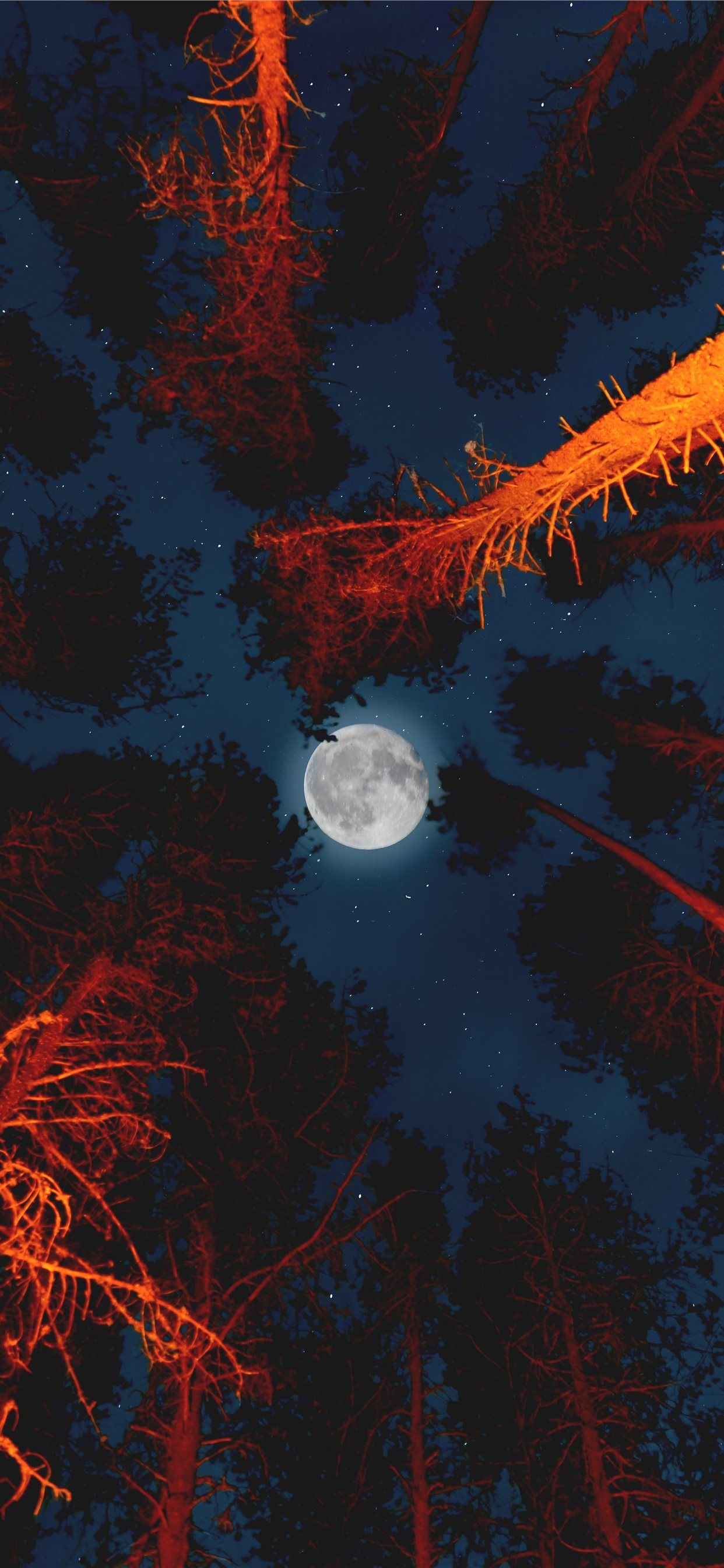 full moon iPhone X Wallpaper Free Download