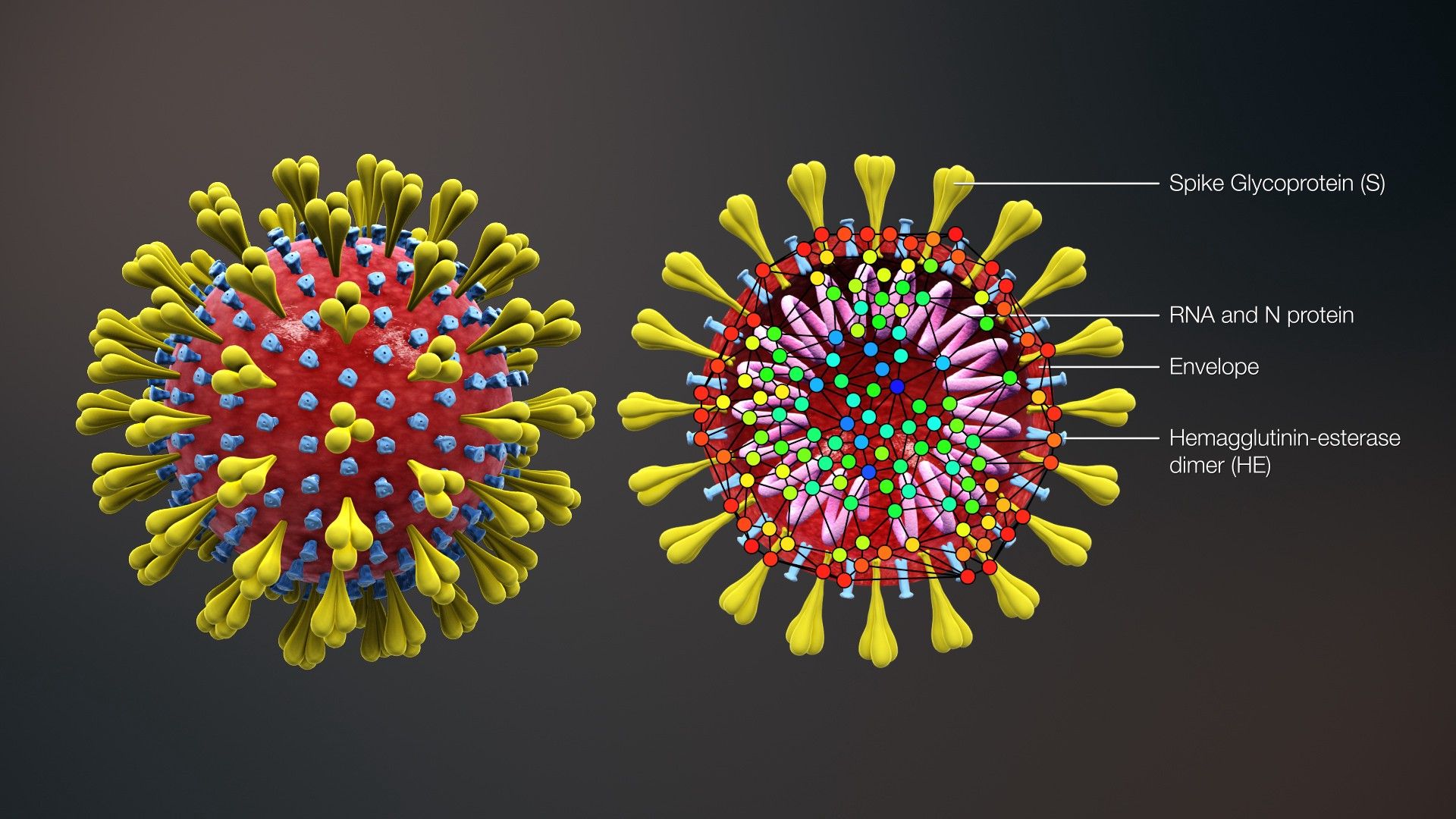 How Memes Spread CoronaVirus (Info)