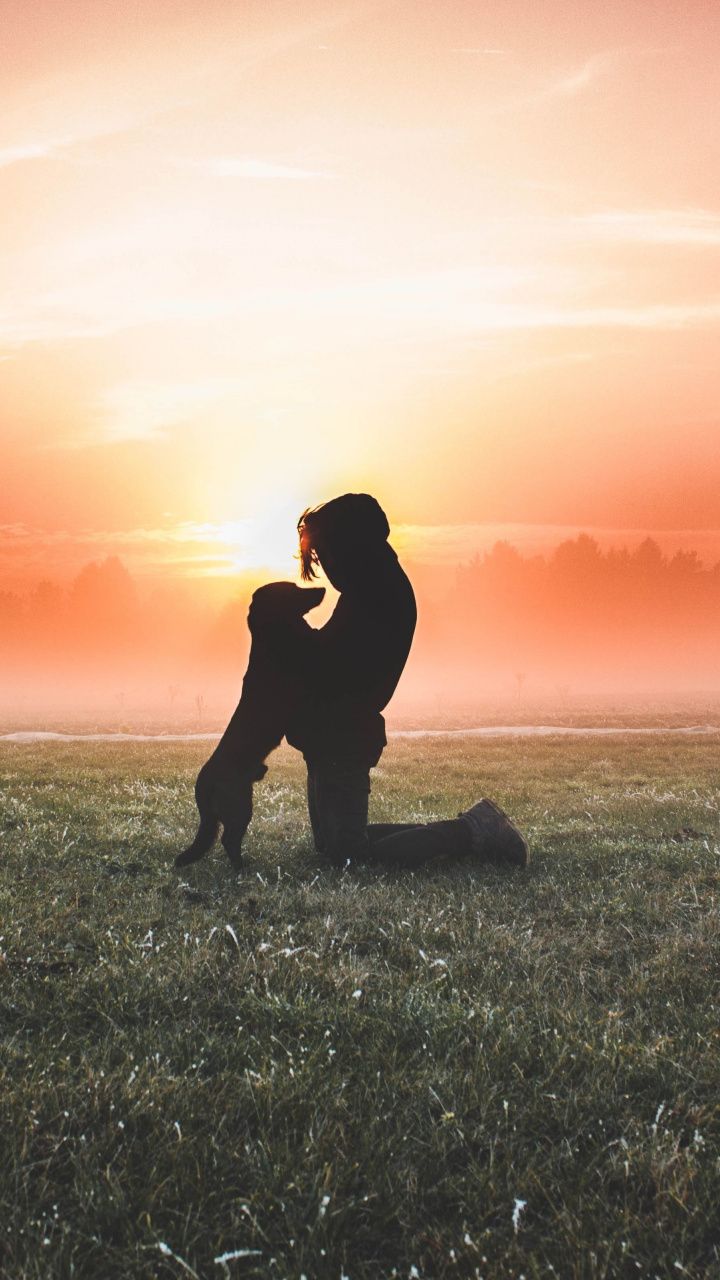 Man With Dog Wallpapers Wallpaper Cave