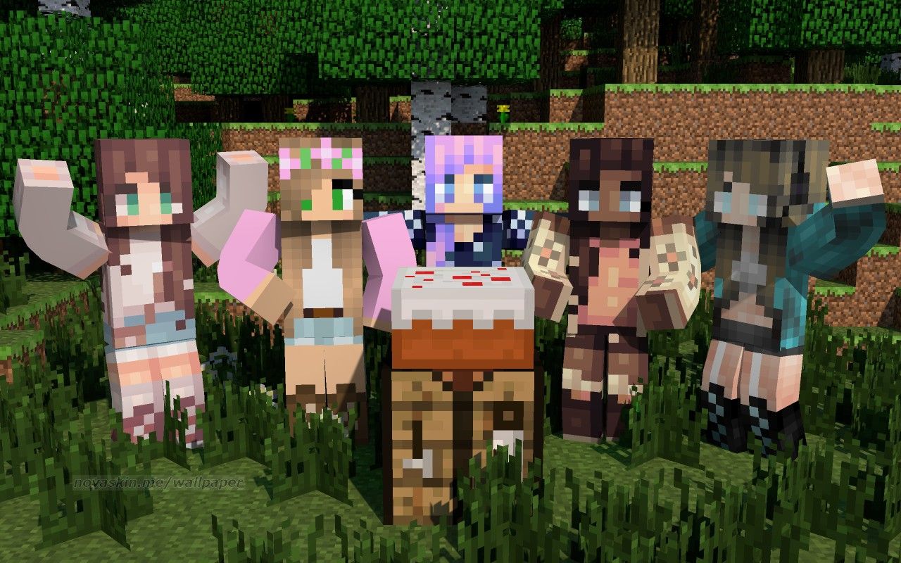 Minecraft Girl Skin, signs, theme, HD phone wallpaper