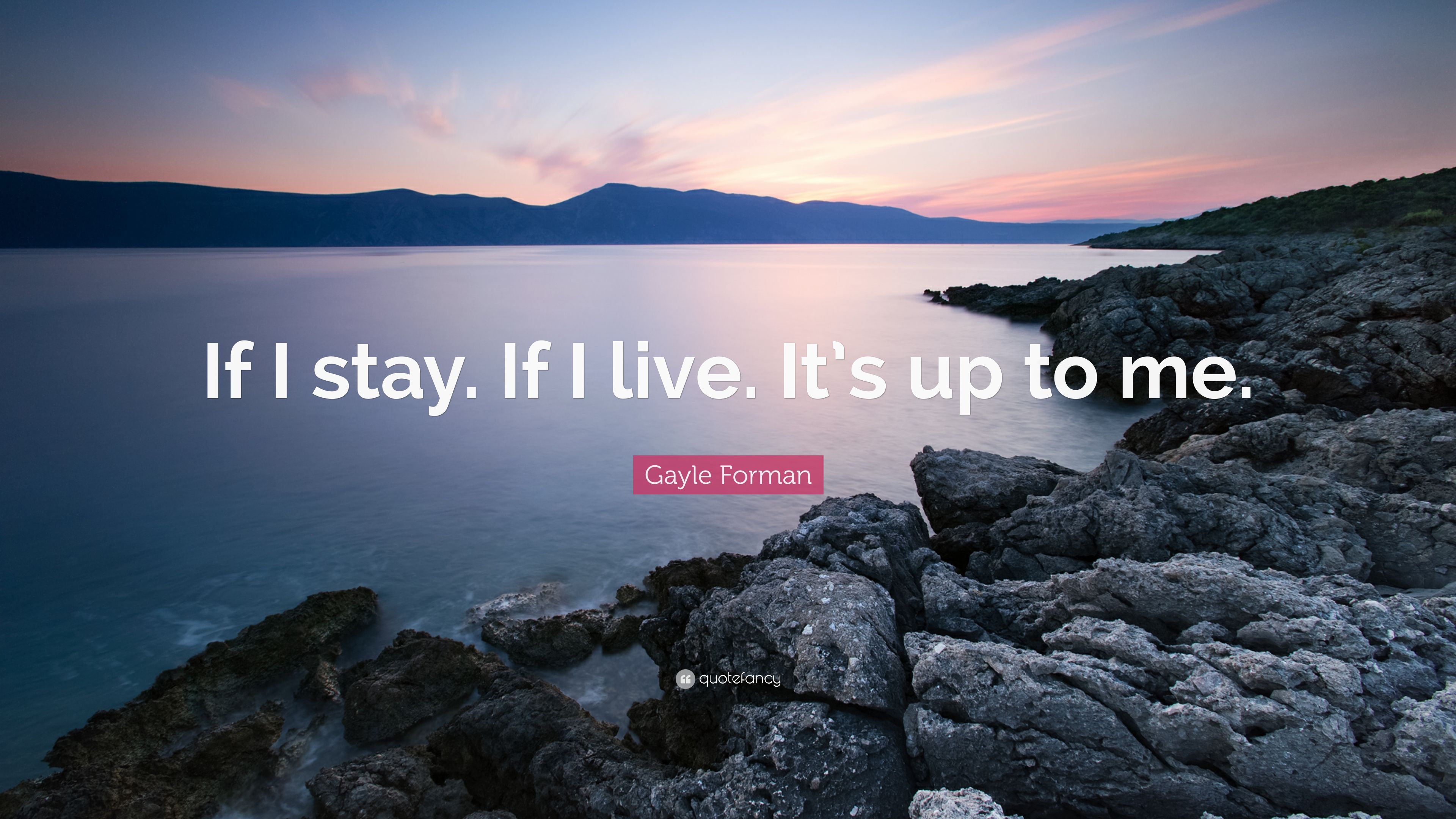 Gayle Forman Quote: “If I stay. If I live. It's up to me.” 9