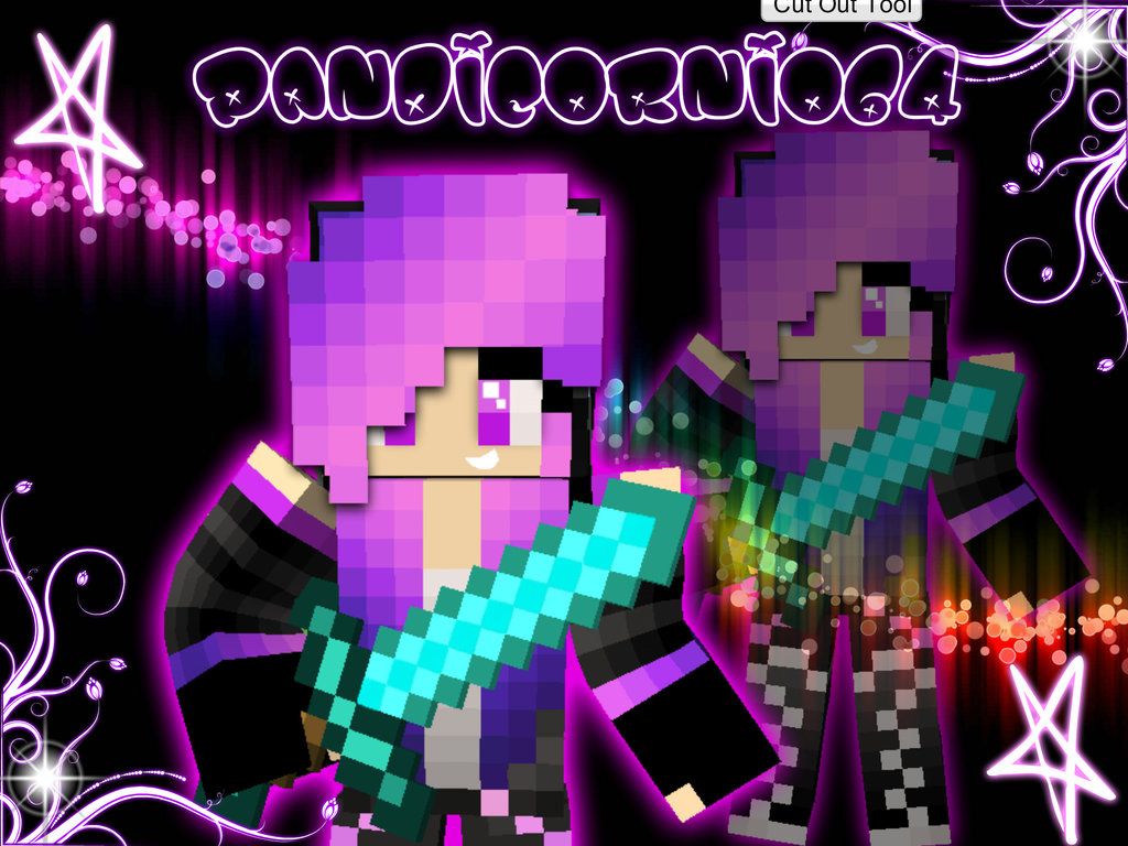 Minecraft Girl Skin, signs, theme, HD phone wallpaper