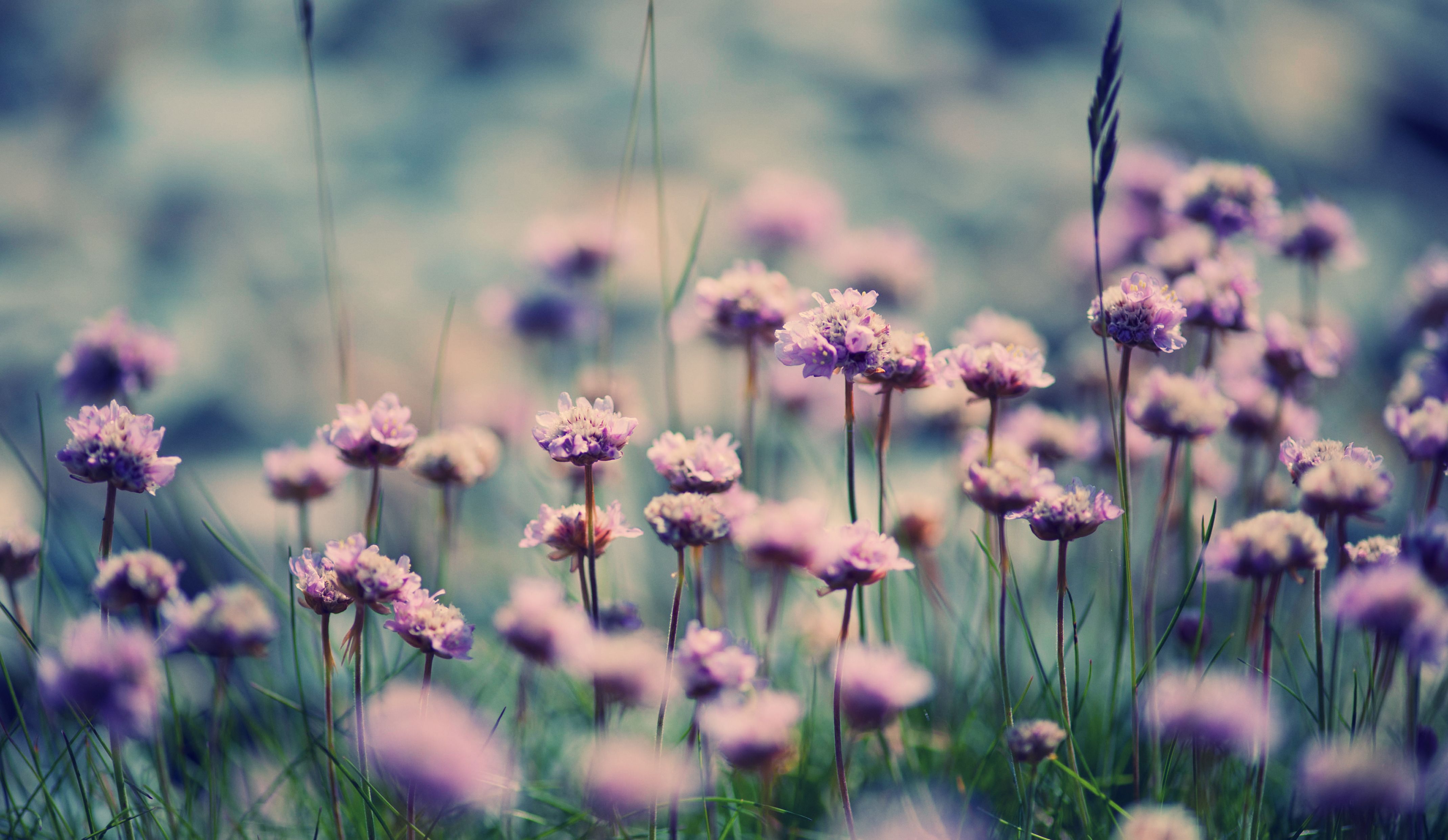 Summer/spring Wallpapers - Wallpaper Cave