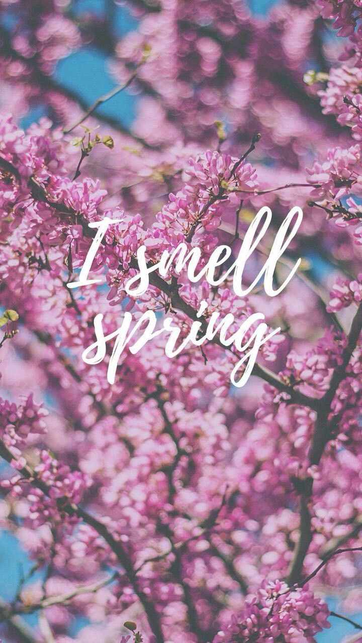 Summer/spring Wallpapers - Wallpaper Cave