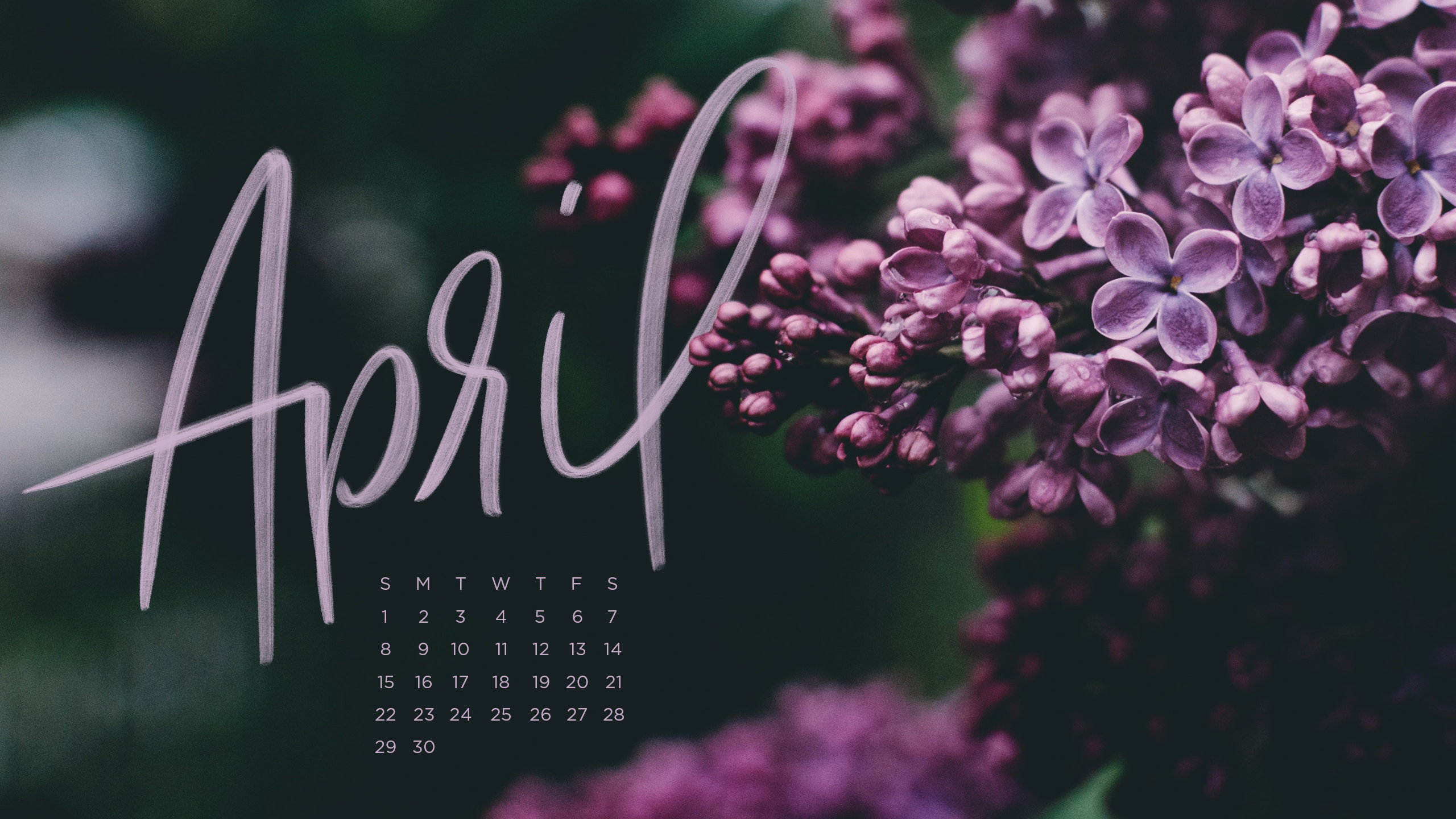 April 2020 Desktop Wallpapers Wallpaper Cave