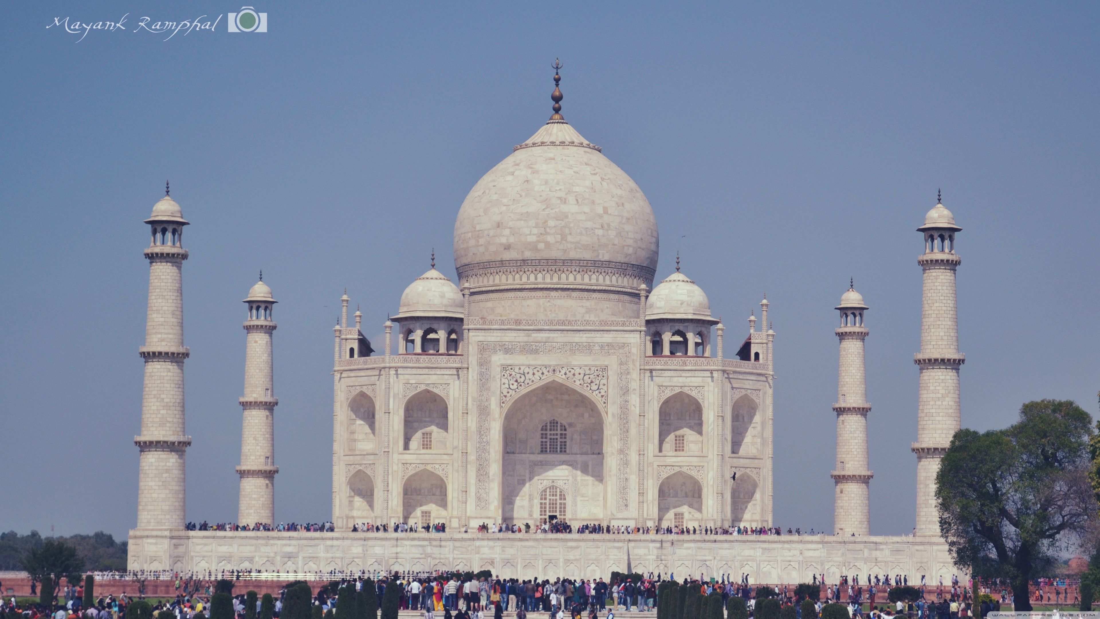 Taj Mahal Ultra HD Desktop Background Wallpaper for: Widescreen