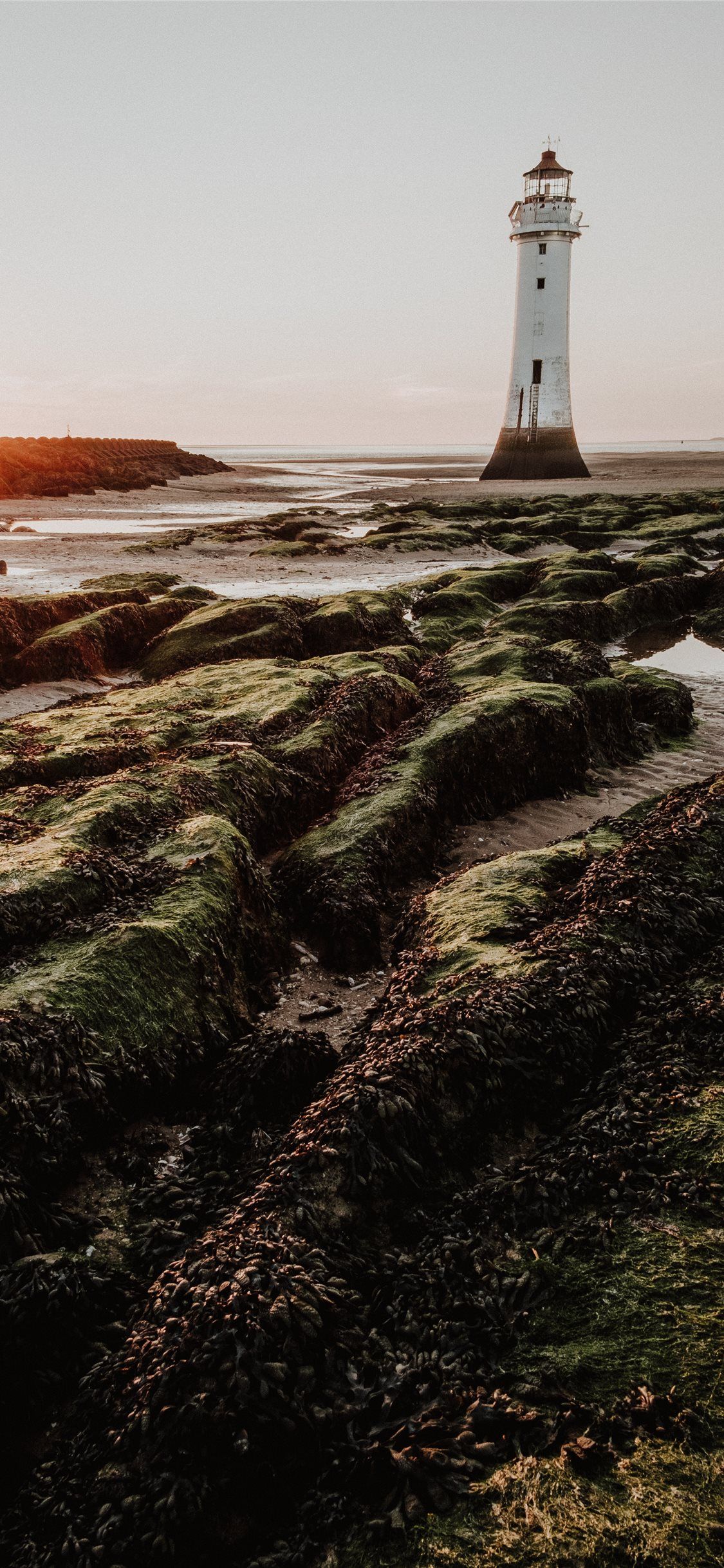 Best vsco iPhone X Wallpaper HD