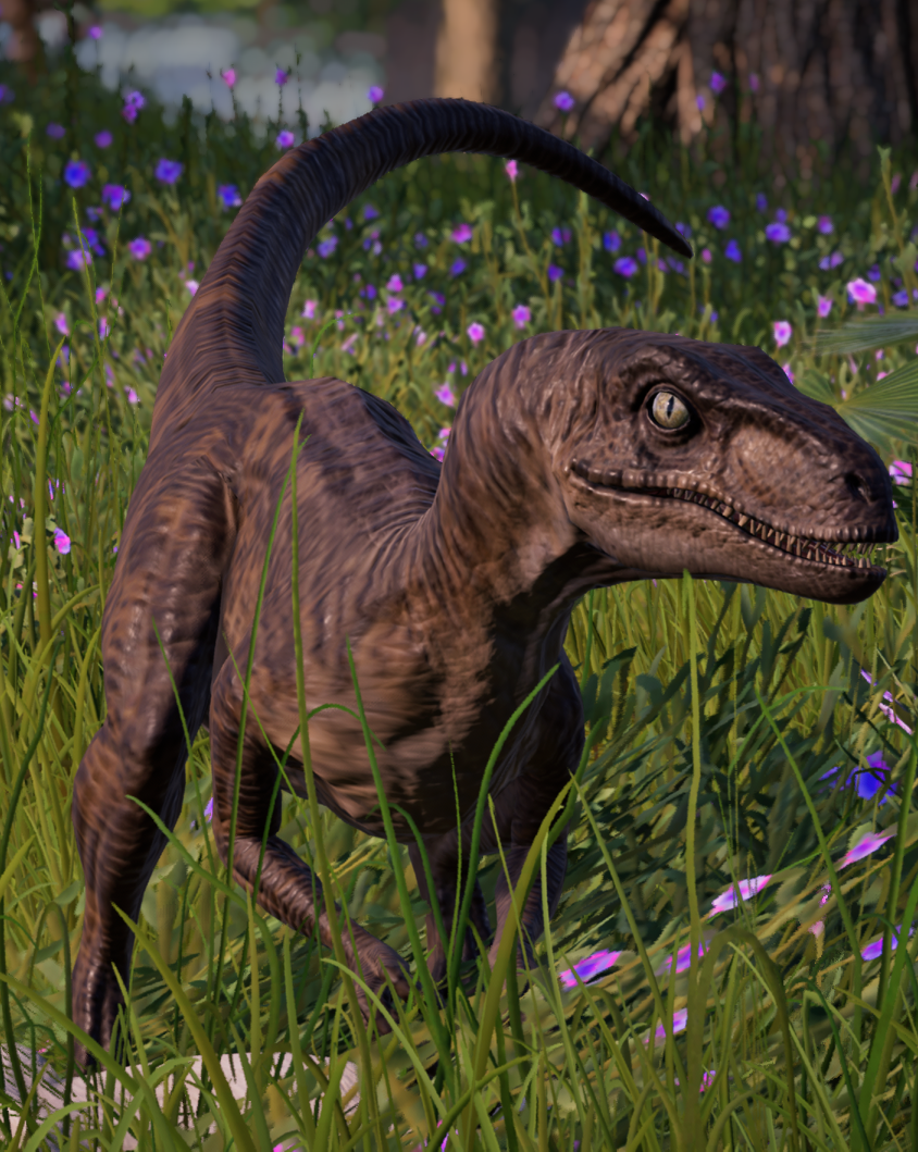 Velociraptor. Jurassic World Evolution