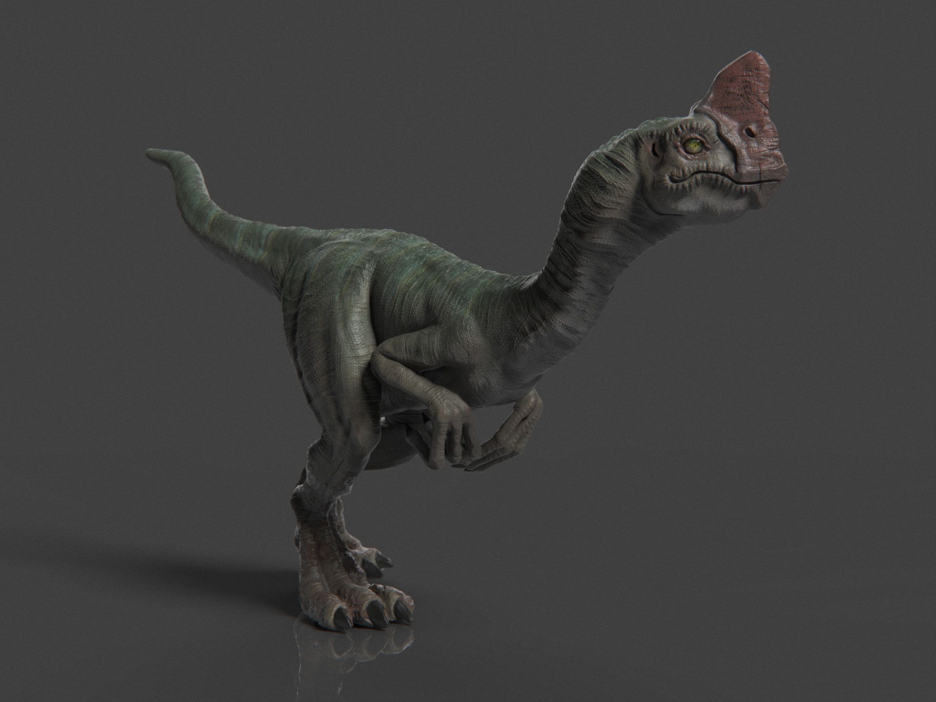 Creature Concept // Oviraptor // update, Marcus