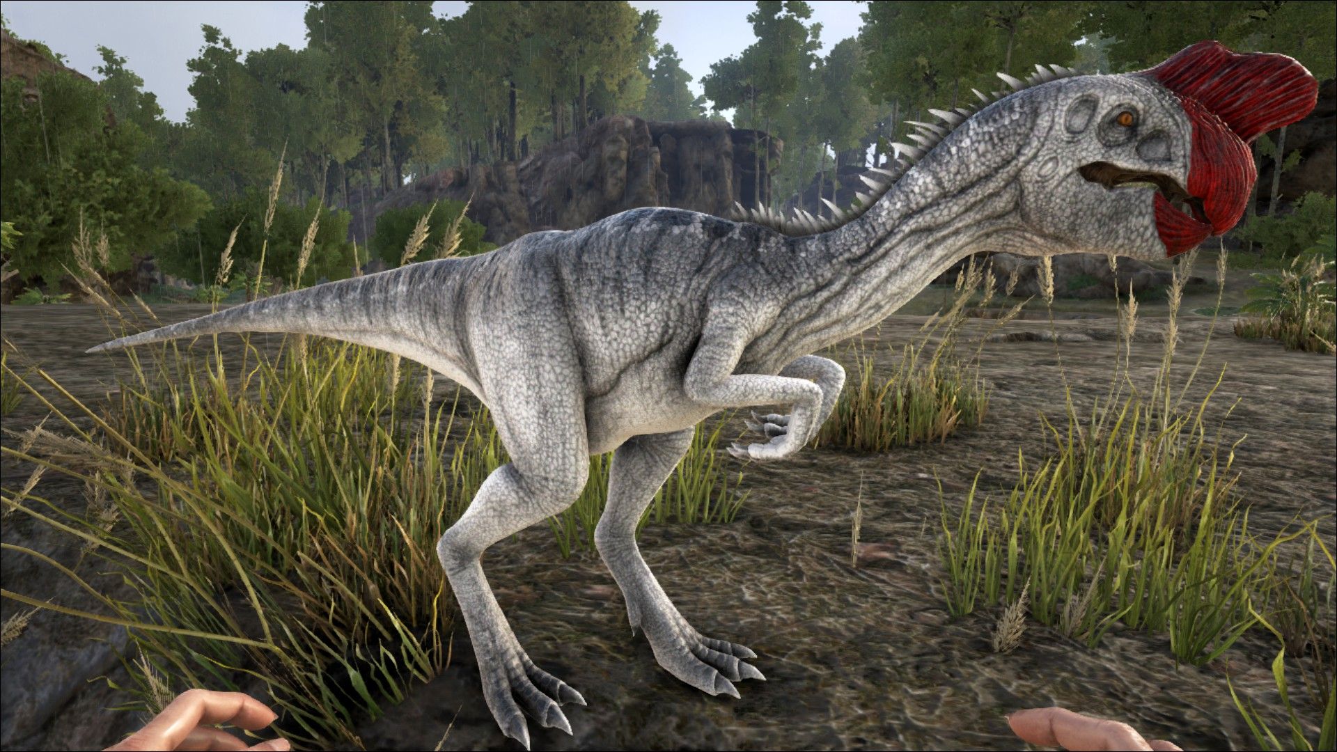 Oviraptor ARK: Survival Evolved