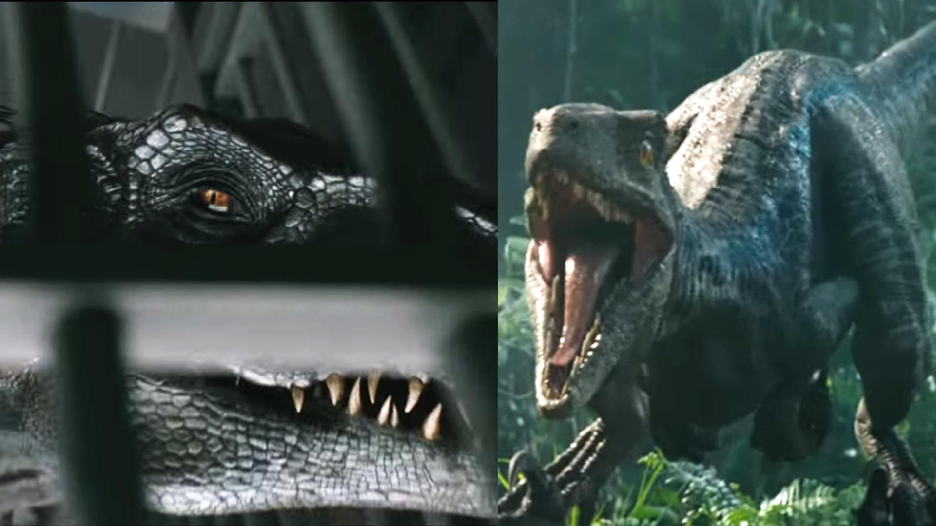 Who would win? vs Indoraptor