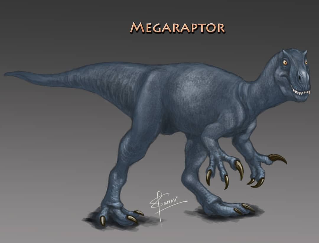 MEGARAPTOR Reconstruction #megaraptor #dinosar #paleoart
