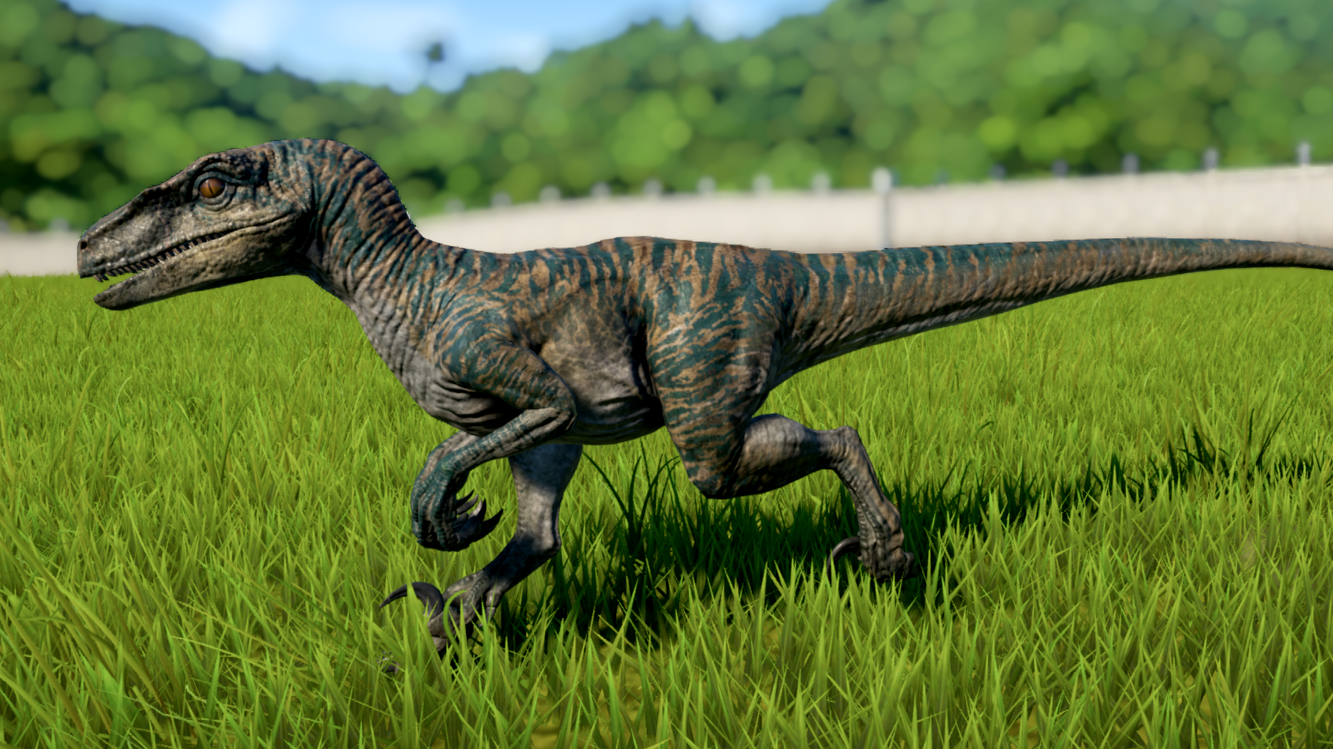 Velociraptor. Jurassic World Evolution