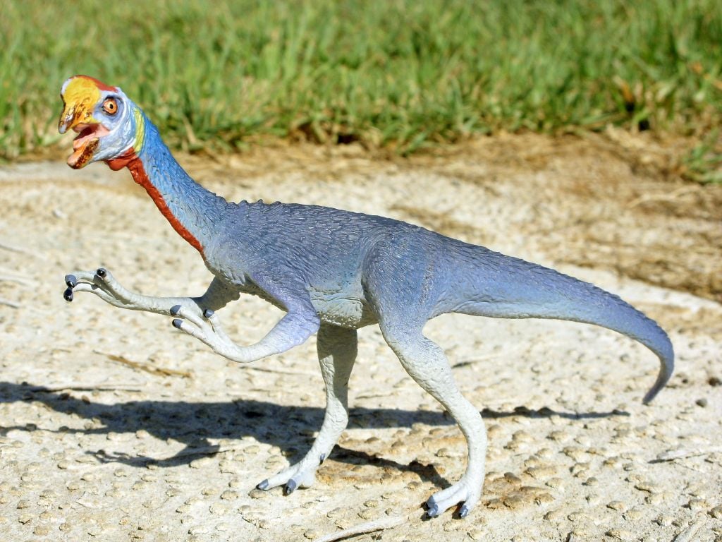 Oviraptor and Picture