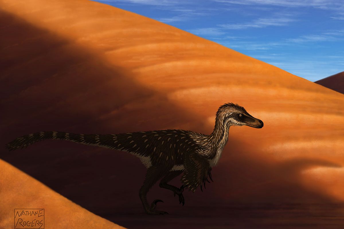 Dinosaurs of the Gobi Desert