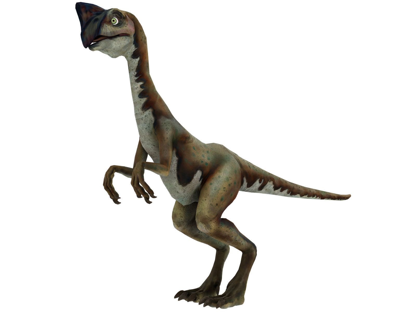 3D model Oviraptor