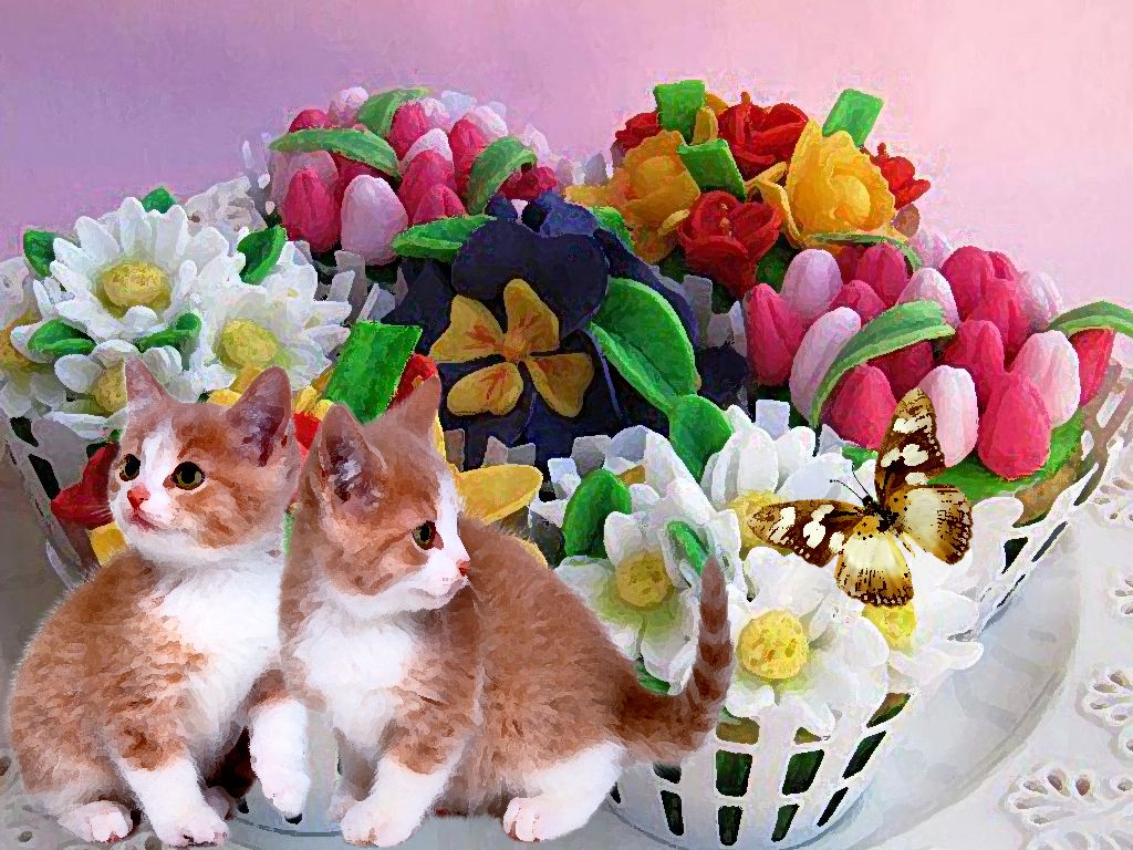 Free download brothers tiny cat and butterfly wallpaper