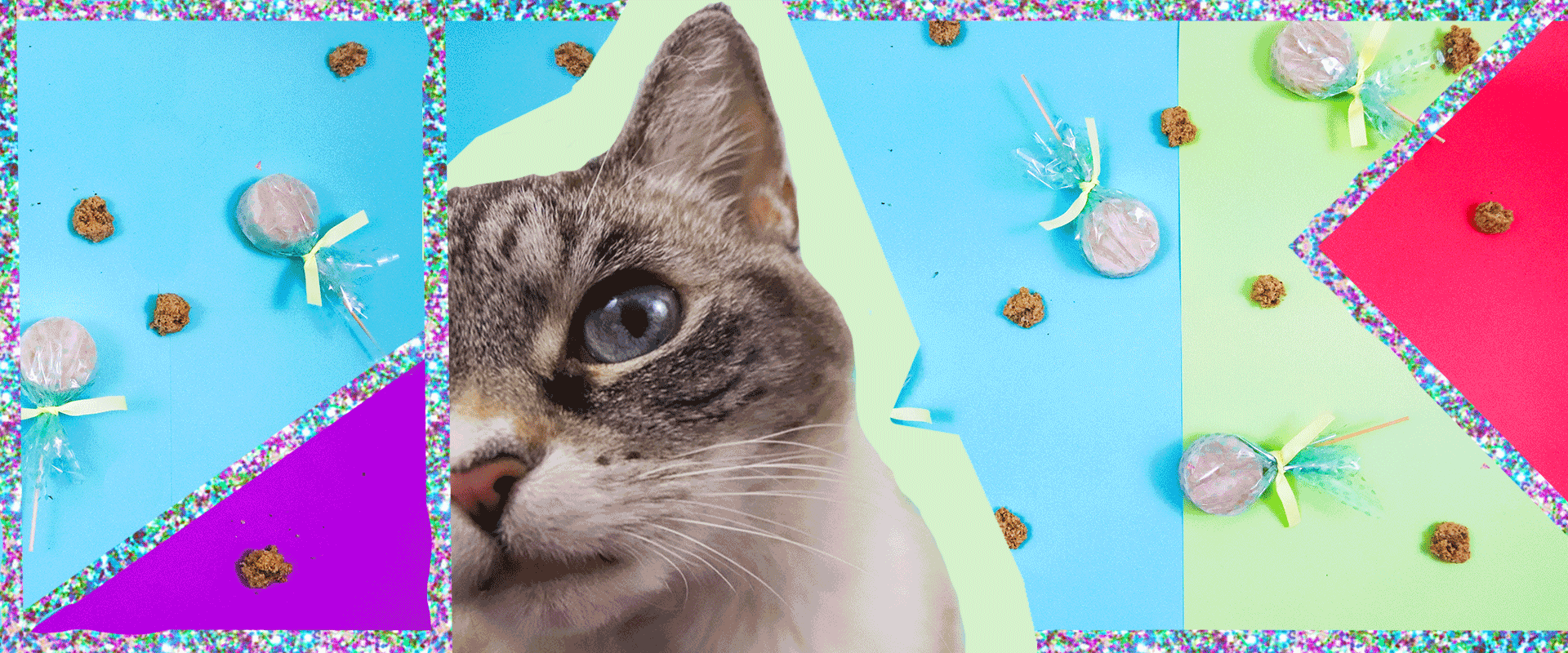Candy for your Cat: DIY Cat Treats