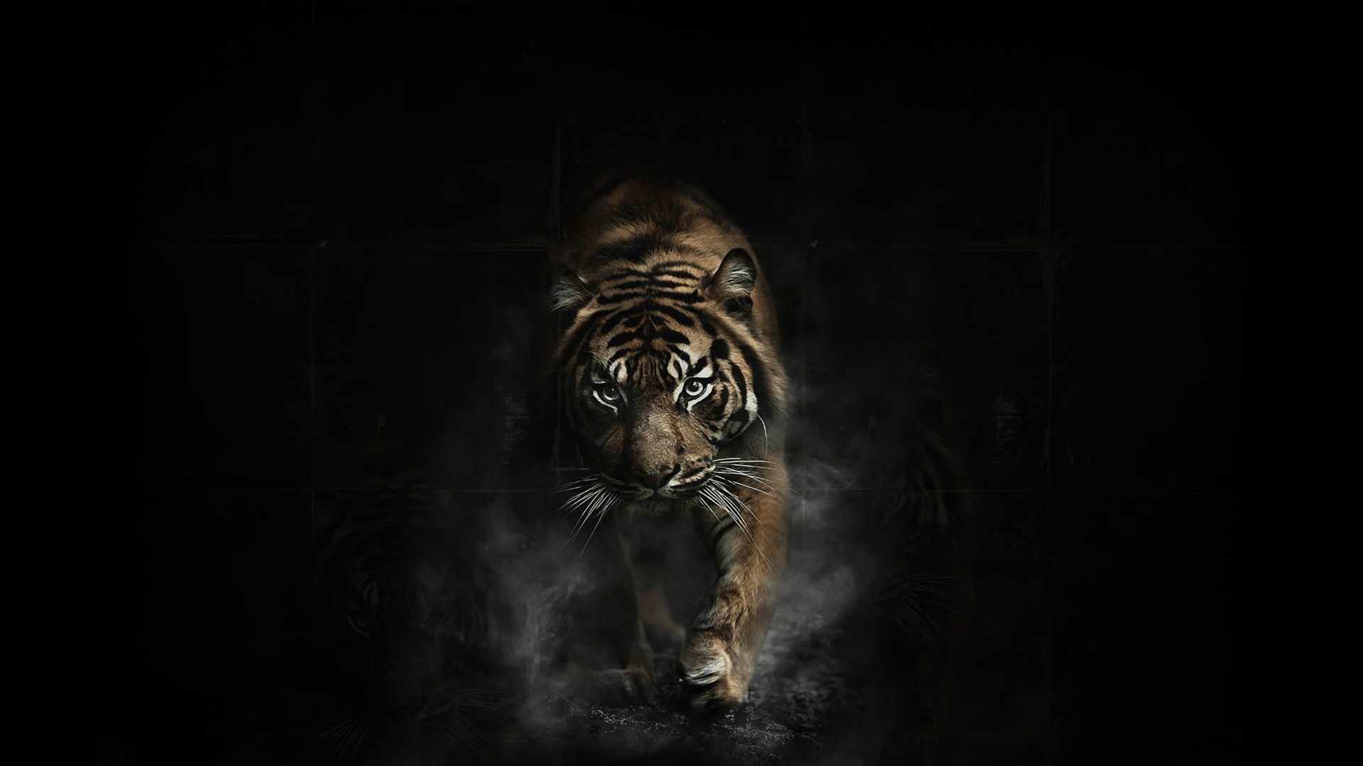Black Wallpaper Hd Tiger gambar ke 4
