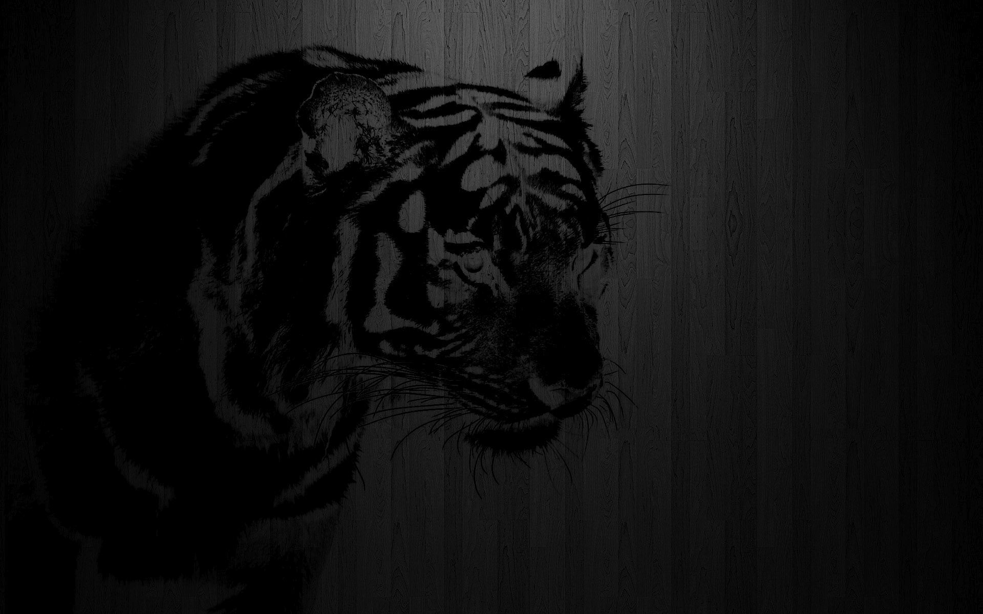 Wide HD Black Tiger Wallpaper, HD Wallpaper & background