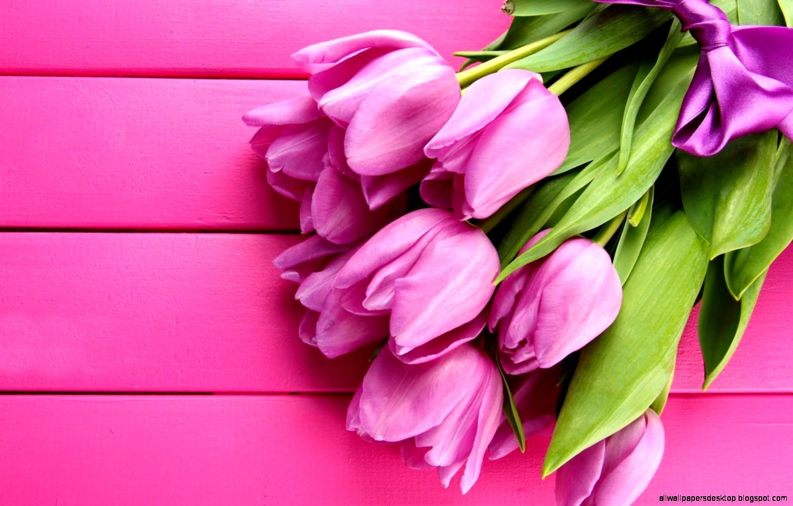 Flowers Tulips Pink Spring HD Wallpaper. All Wallpaper Desktop