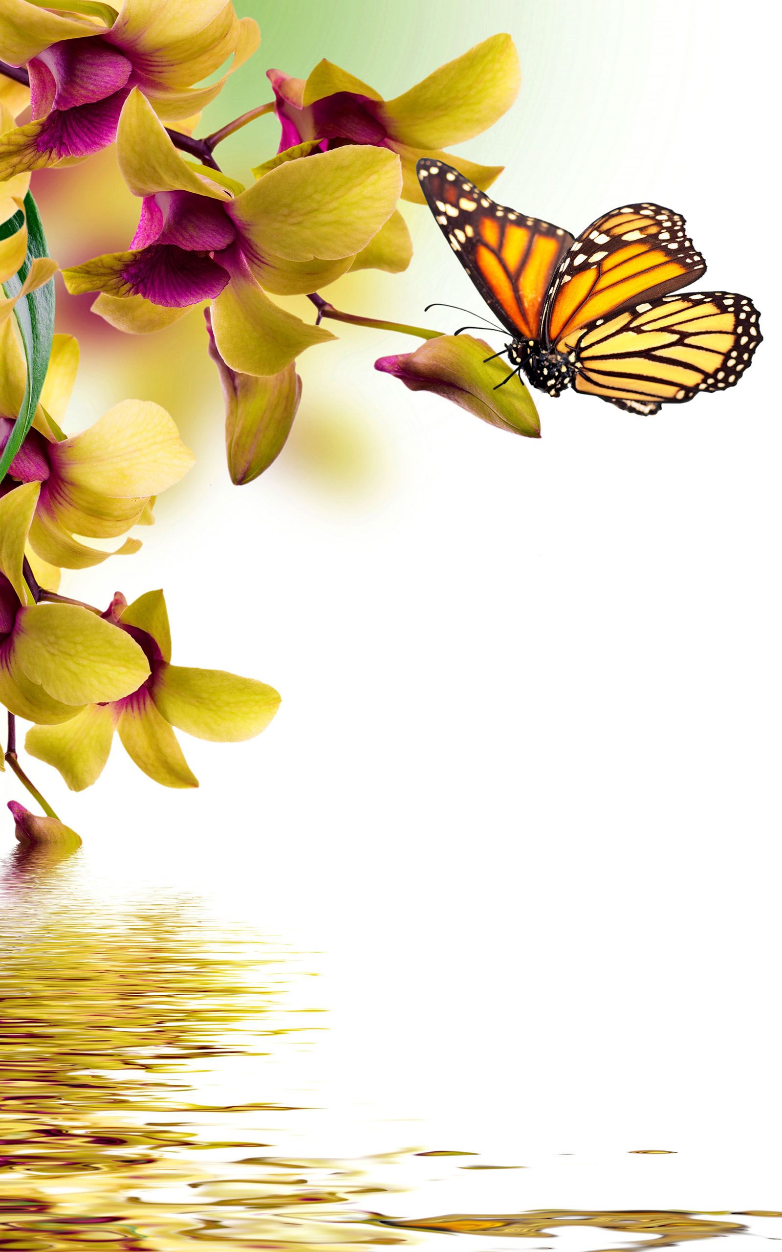 Vivo Y93 Wallpapers - Wallpaper Cave