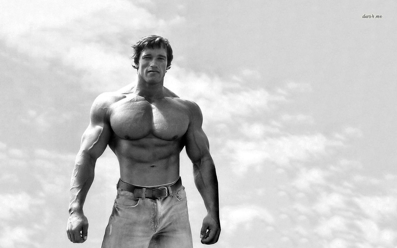 Arnold Schwarzenegger HD Wallpaper