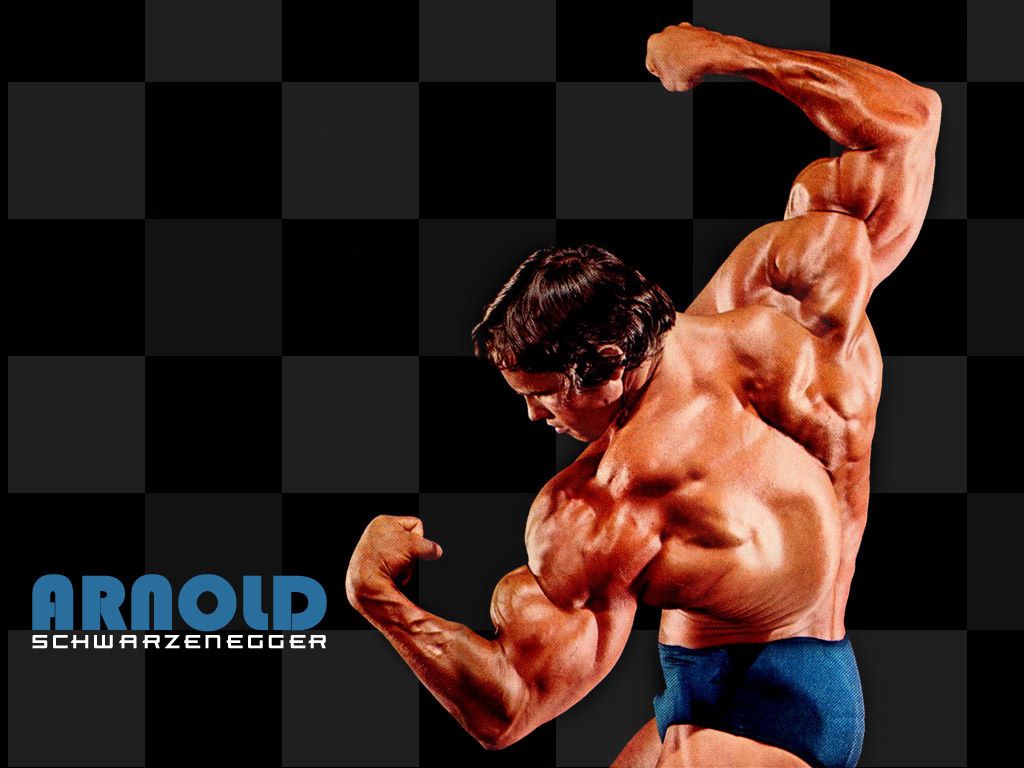 Sports Stars Celebrity: Arnold Schwarzenegger Body Builder Celebrity
