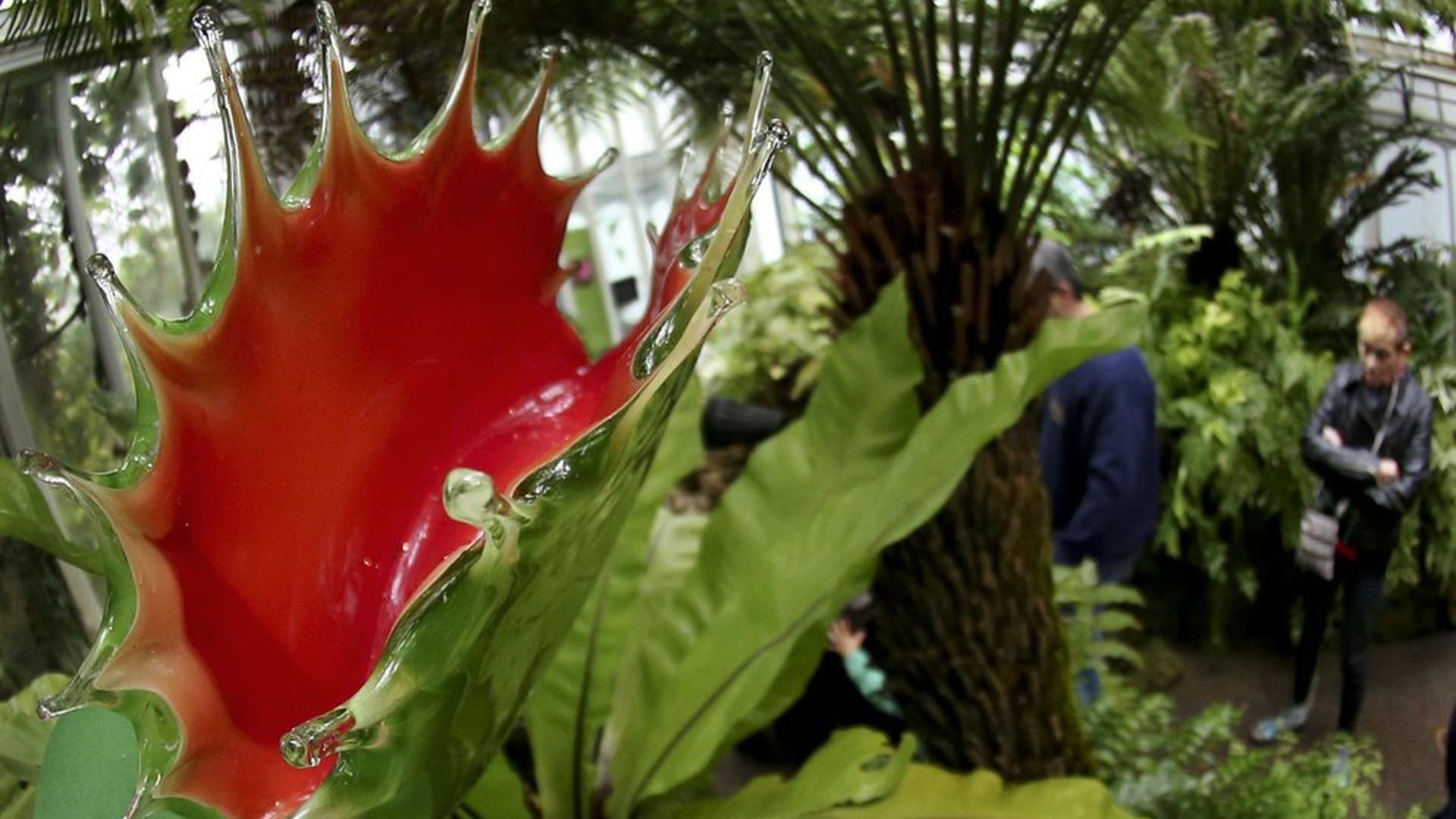 Scientists have created an artificial Venus flytrap