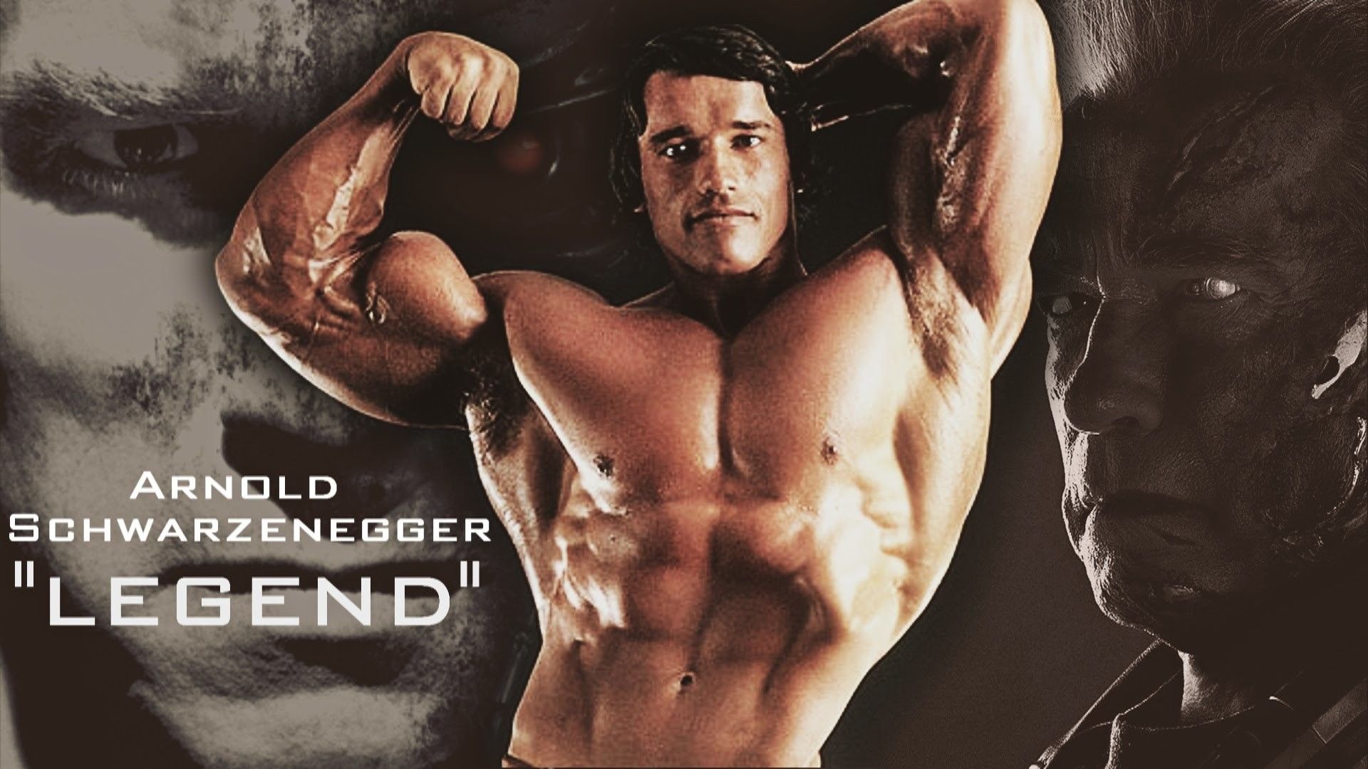 Arnold Schwarzenegger Bodybuilding Wallpapers Posters and Pictures.