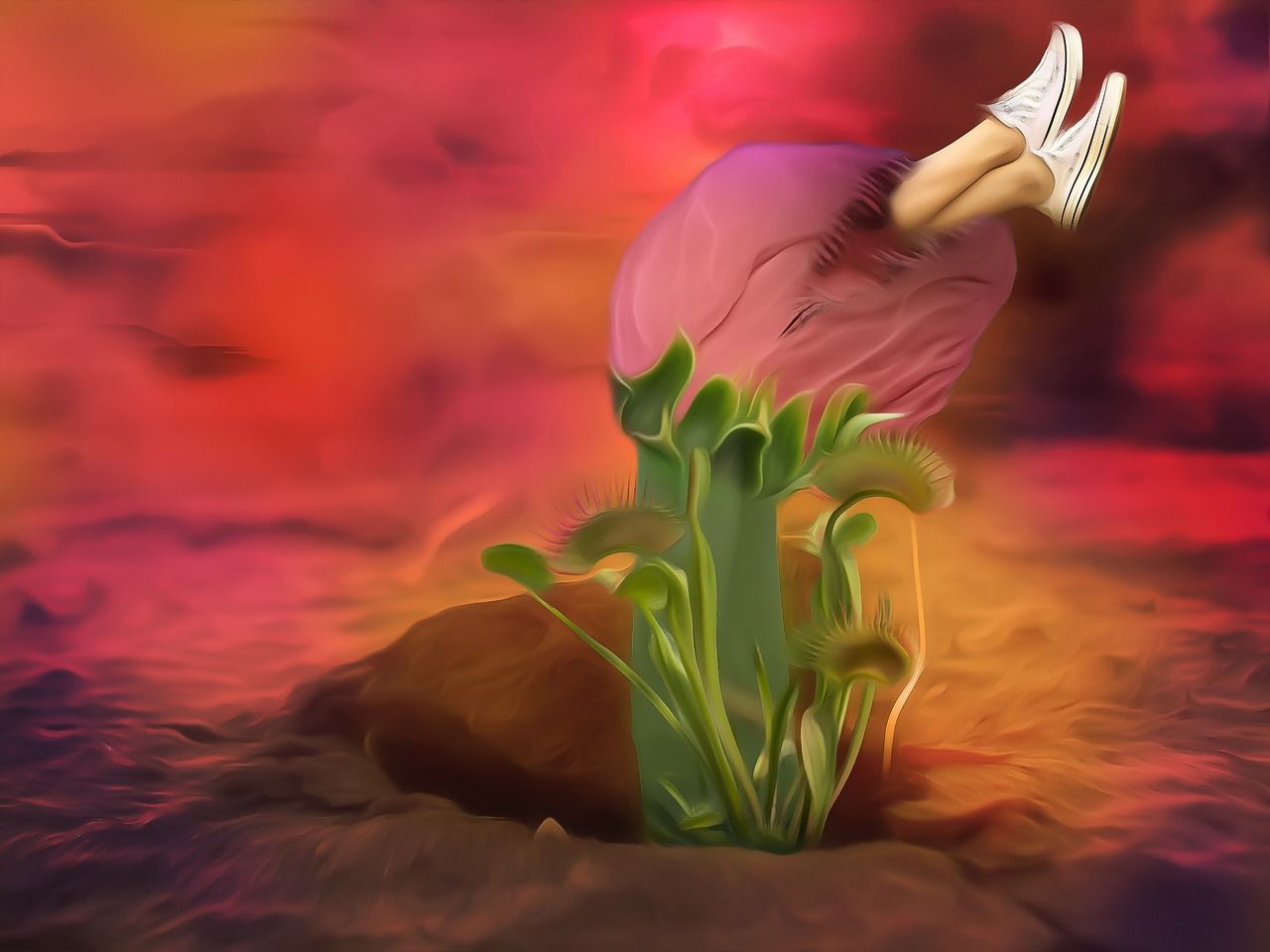 Venus Fly Trap Wallpapers - Wallpaper Cave