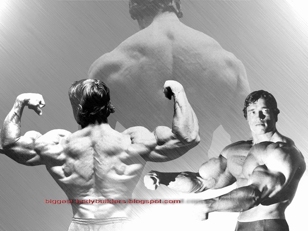 Arnold Schwarzenegger Wallpaper New Biggest Body Builders Arnold