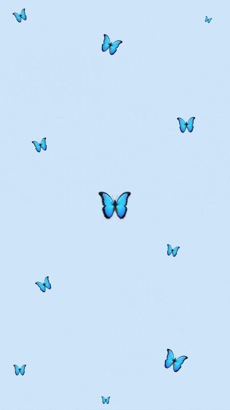 aesthetic #butterfly #wallpaper #tumblr #babyblue #blue