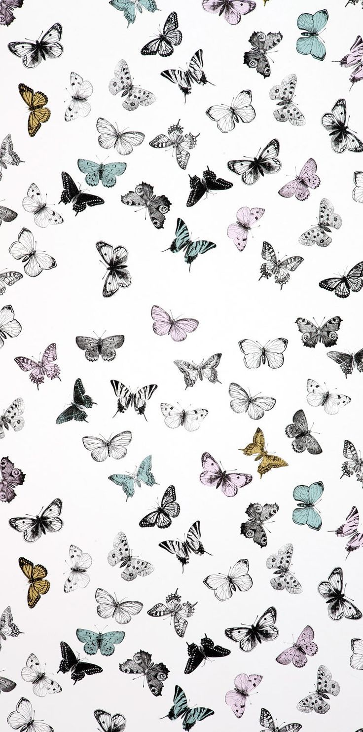 Free download Pattern Wallpaper Butterflies Wallpaper