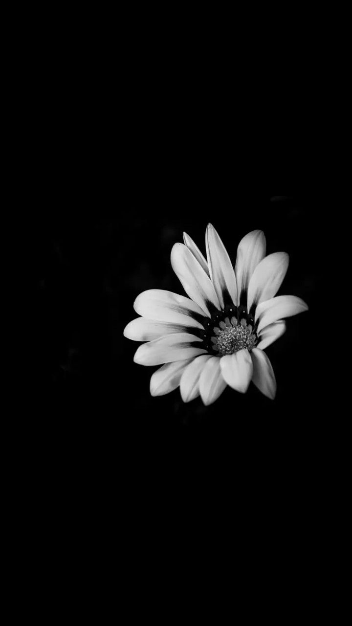 photography. Black and white wallpaper iphone