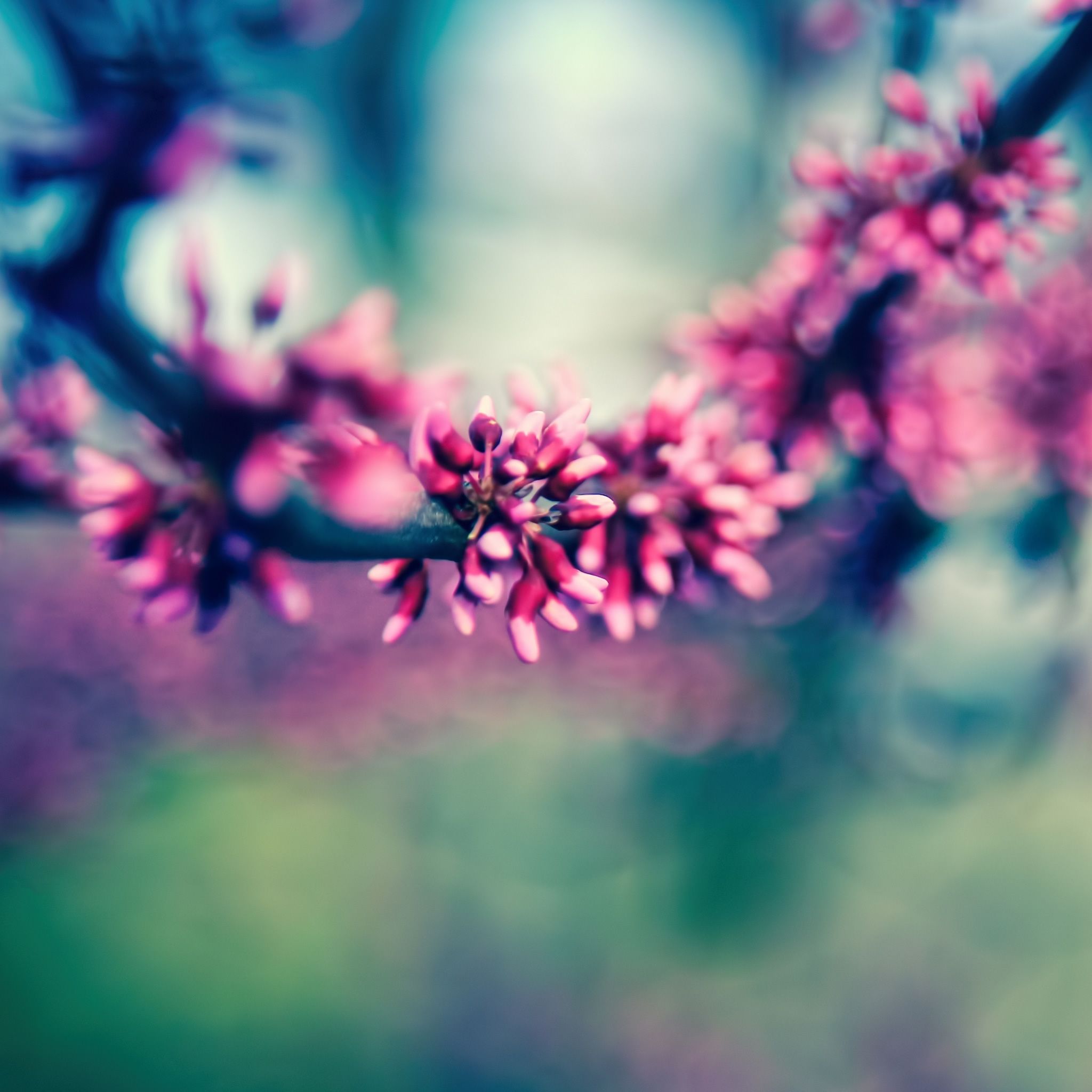 Colours Spring Wallpapers - Wallpaper Cave