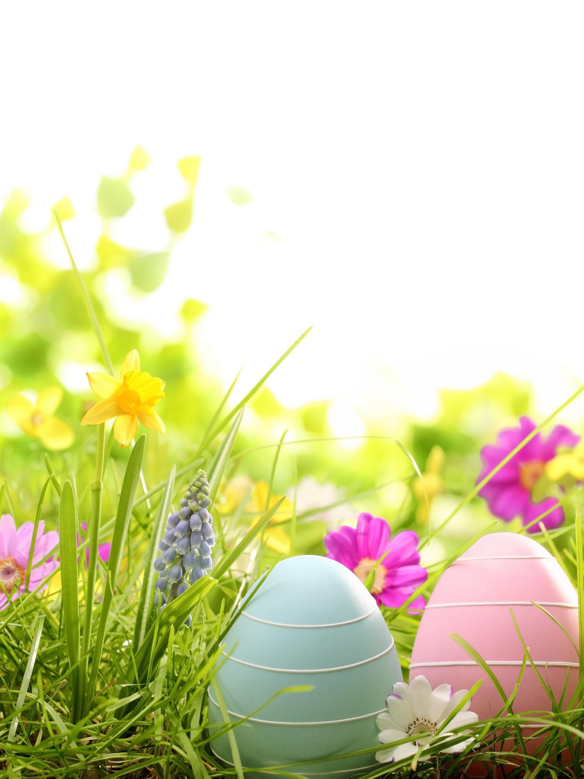 Free download Gallery For gt Pastel Easter Eggs Background