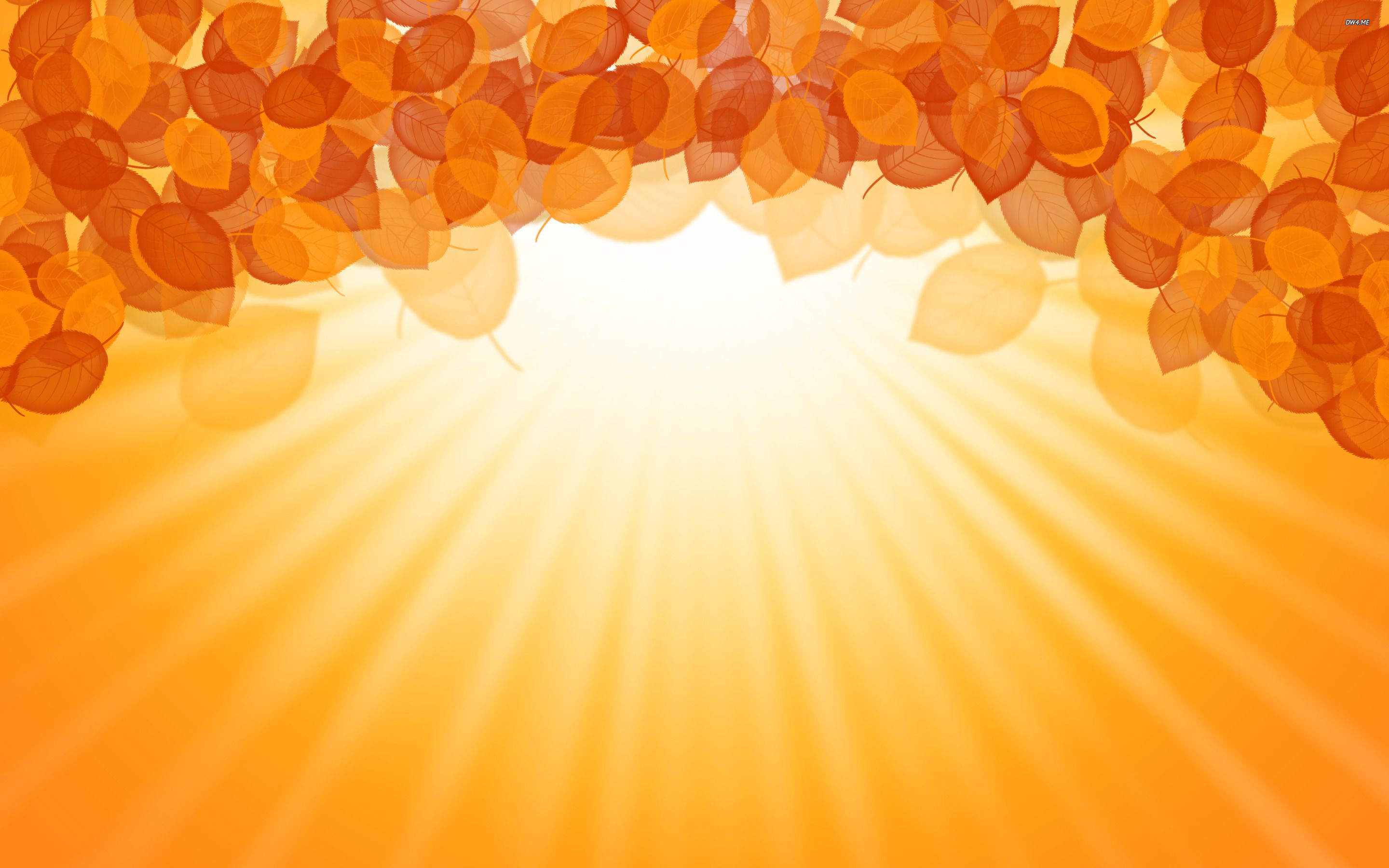 Fall Background Autumn Leaves, Download Wallpaper