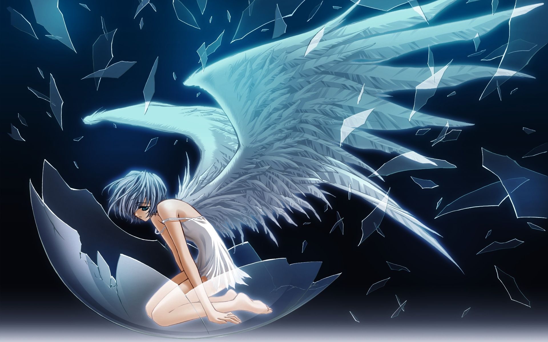 Rei Wings Shattered Glass Genesis Evangelion Wallpaper