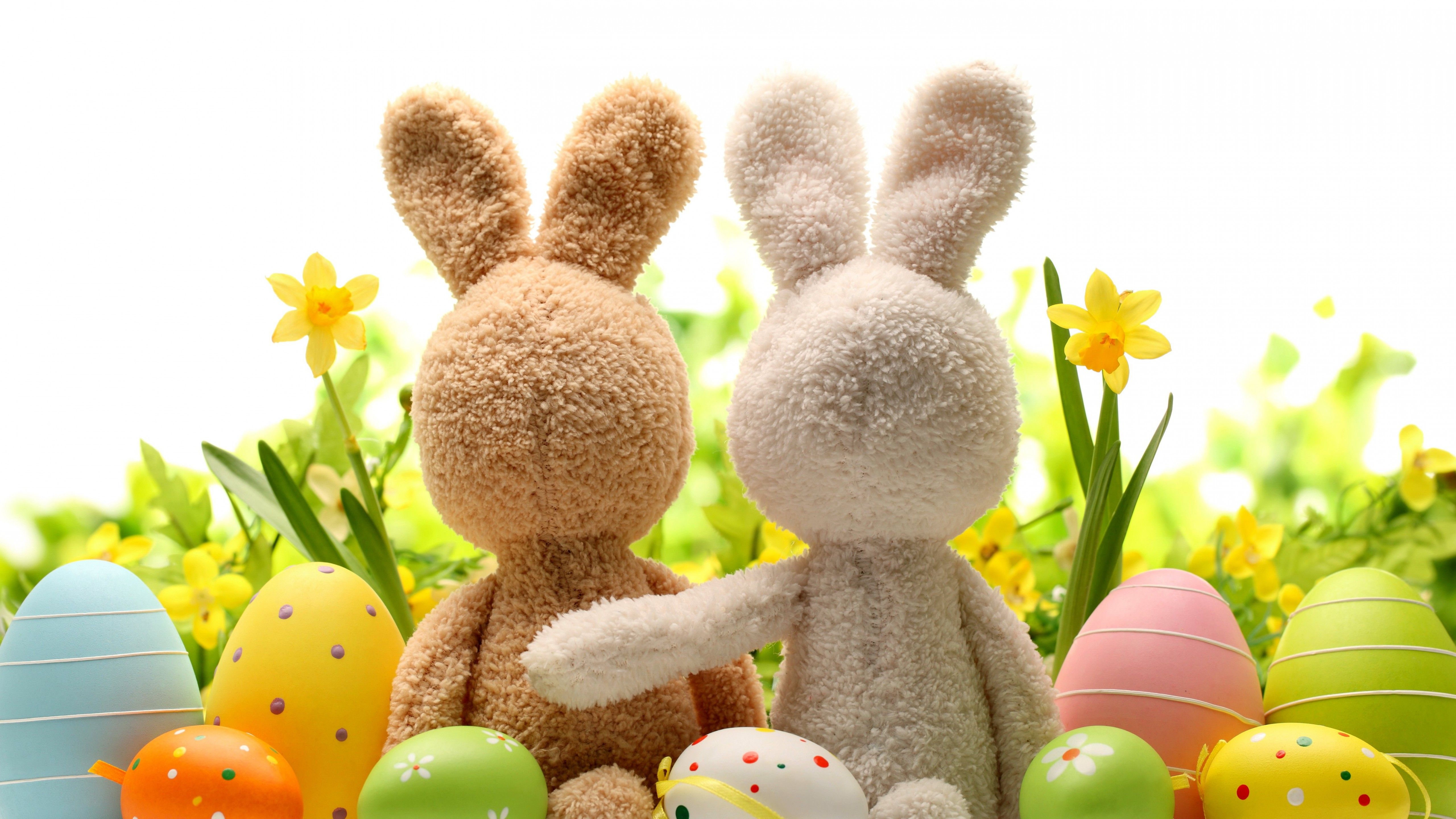 Wallpaper Easter, eggs, flower, rabbit, 5k, Holidays