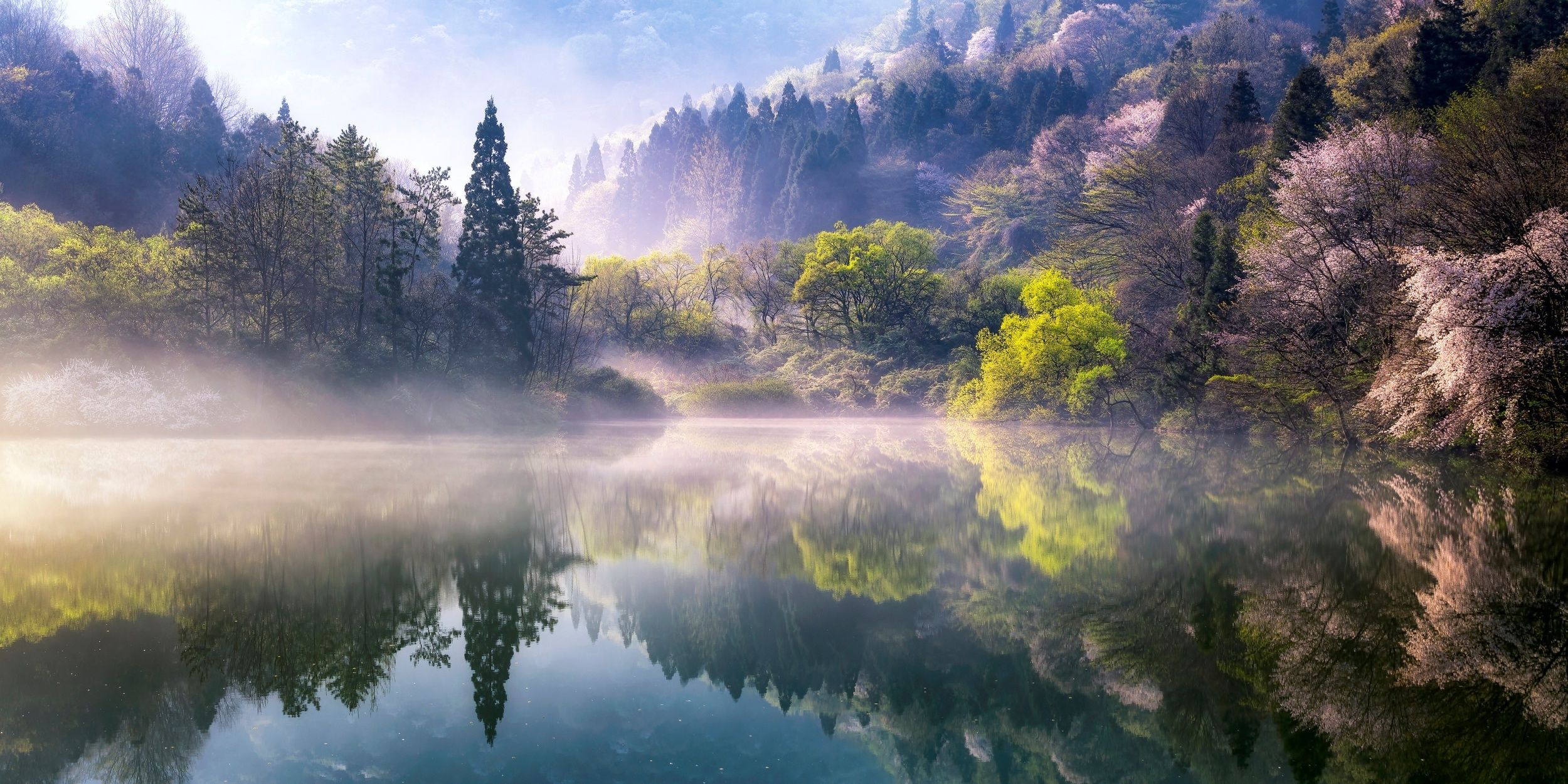 Wallpaper. Spring. photo. picture. trees, nature, fog, the lake, spring