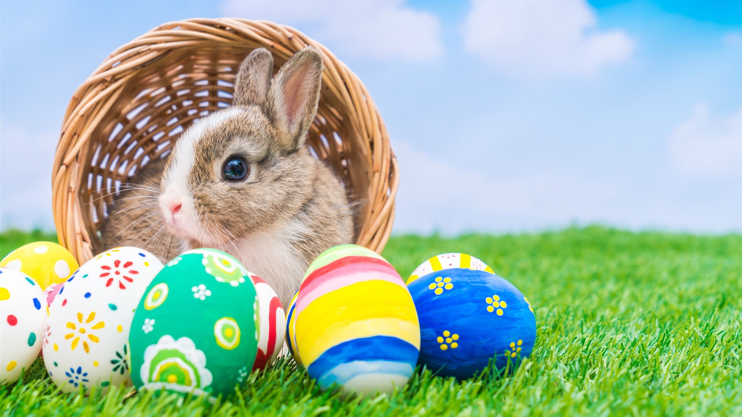 Wallpaper Colorful Easter eggs, rabbit, basket, green grass