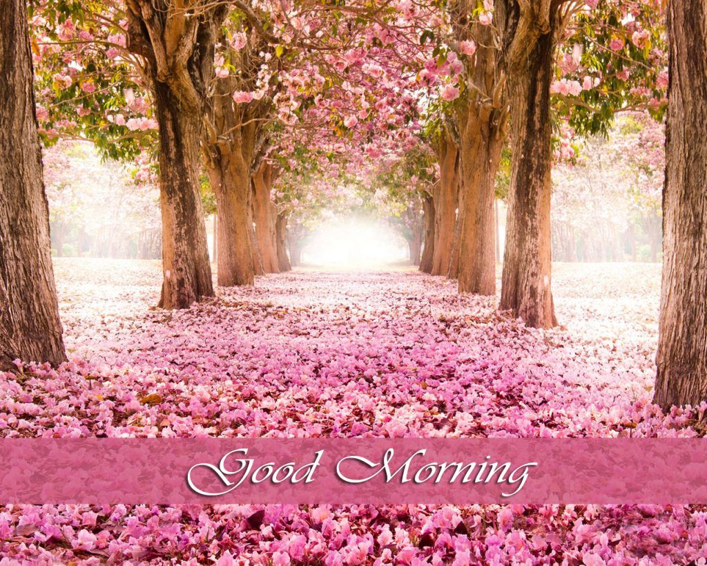 Download Spring Morning Wallpaper 1024x819 HD Wall