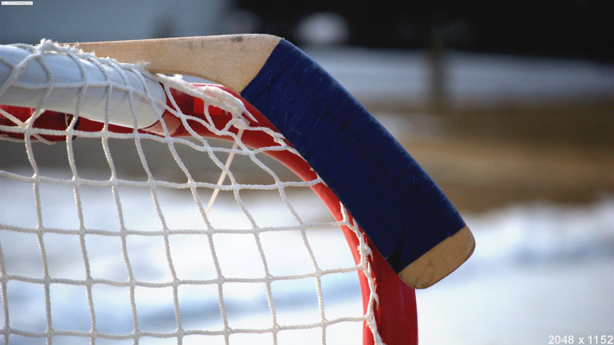 LM:96. The puck. picture v.2.2 jpeg