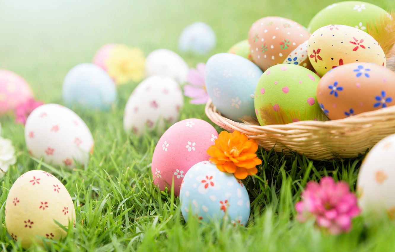 Wallpaper grass, flowers, eggs, Easter, spring, Easter, eggs, decoration, pastel colors image for desktop, section праздники